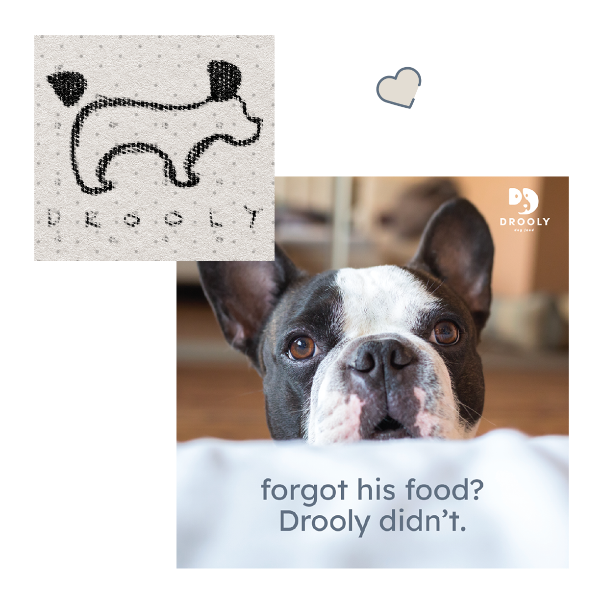 KP-Drooly-Branding-5.png