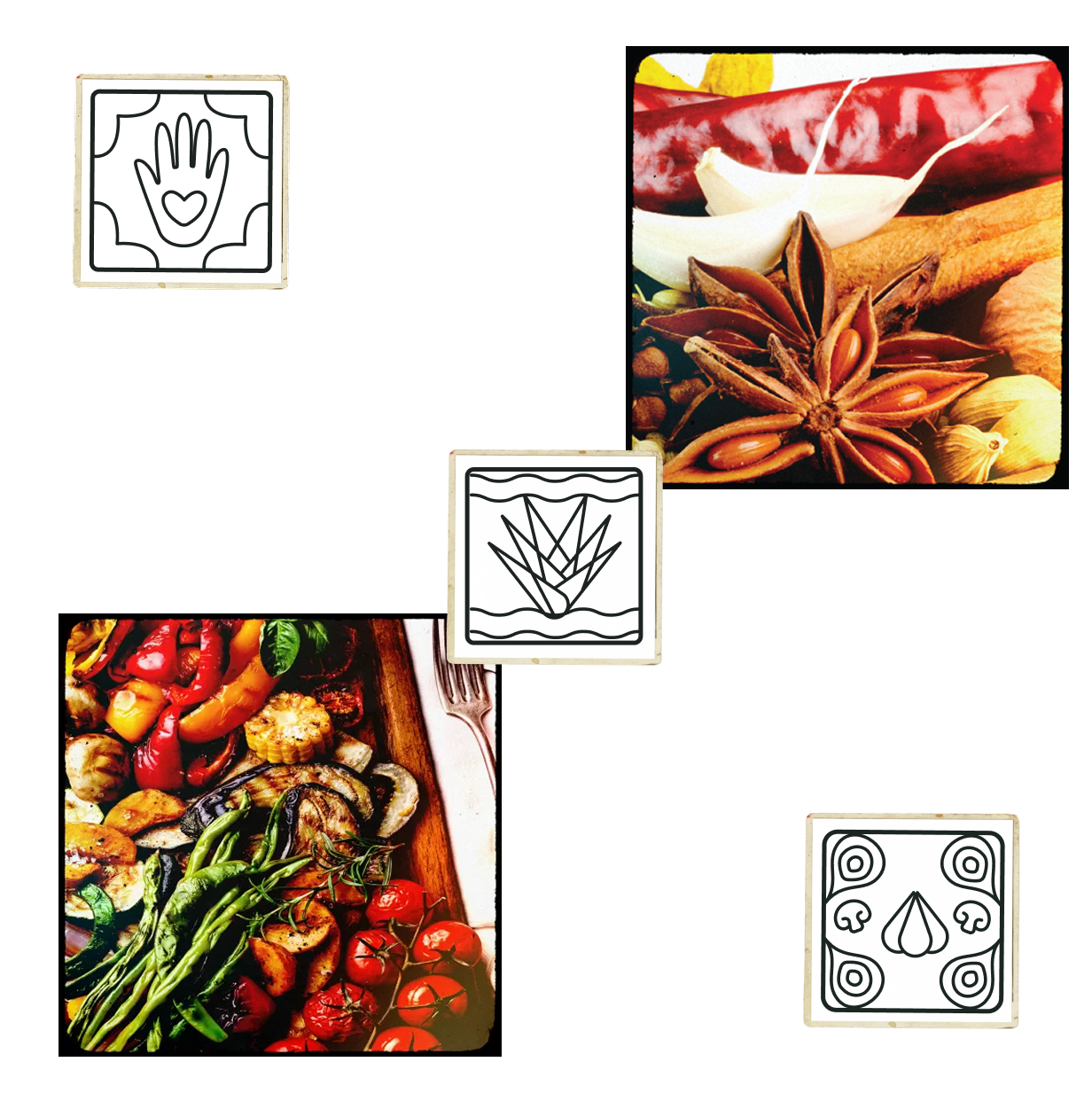 KP-Linberg Snider-Branding-1-1.png