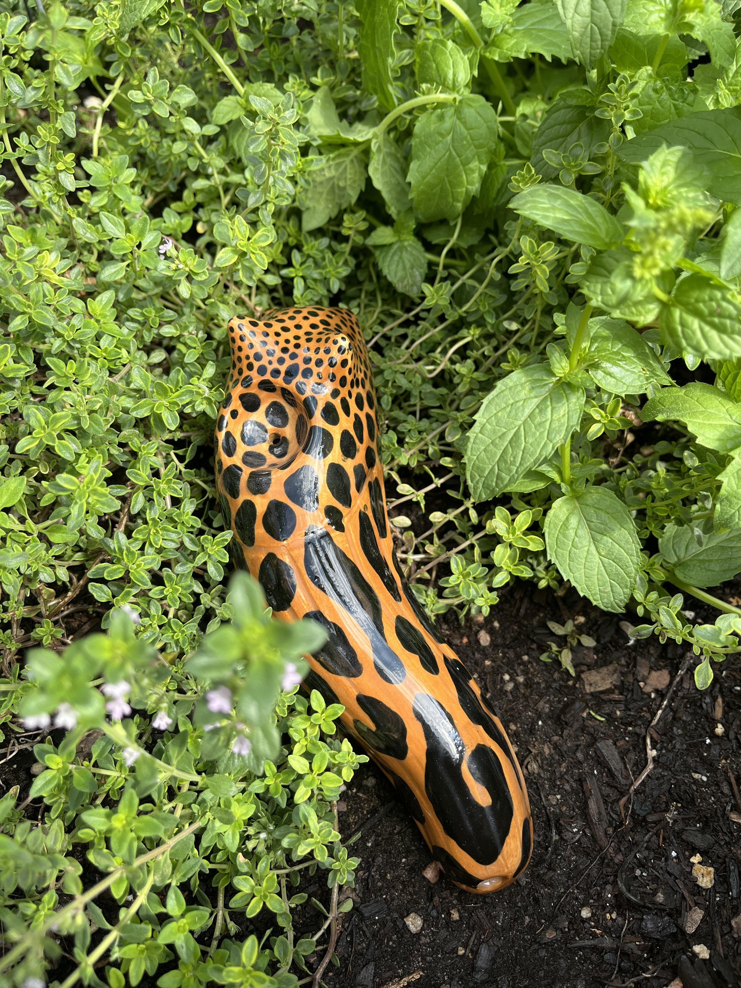 IMG_6974.jpeg