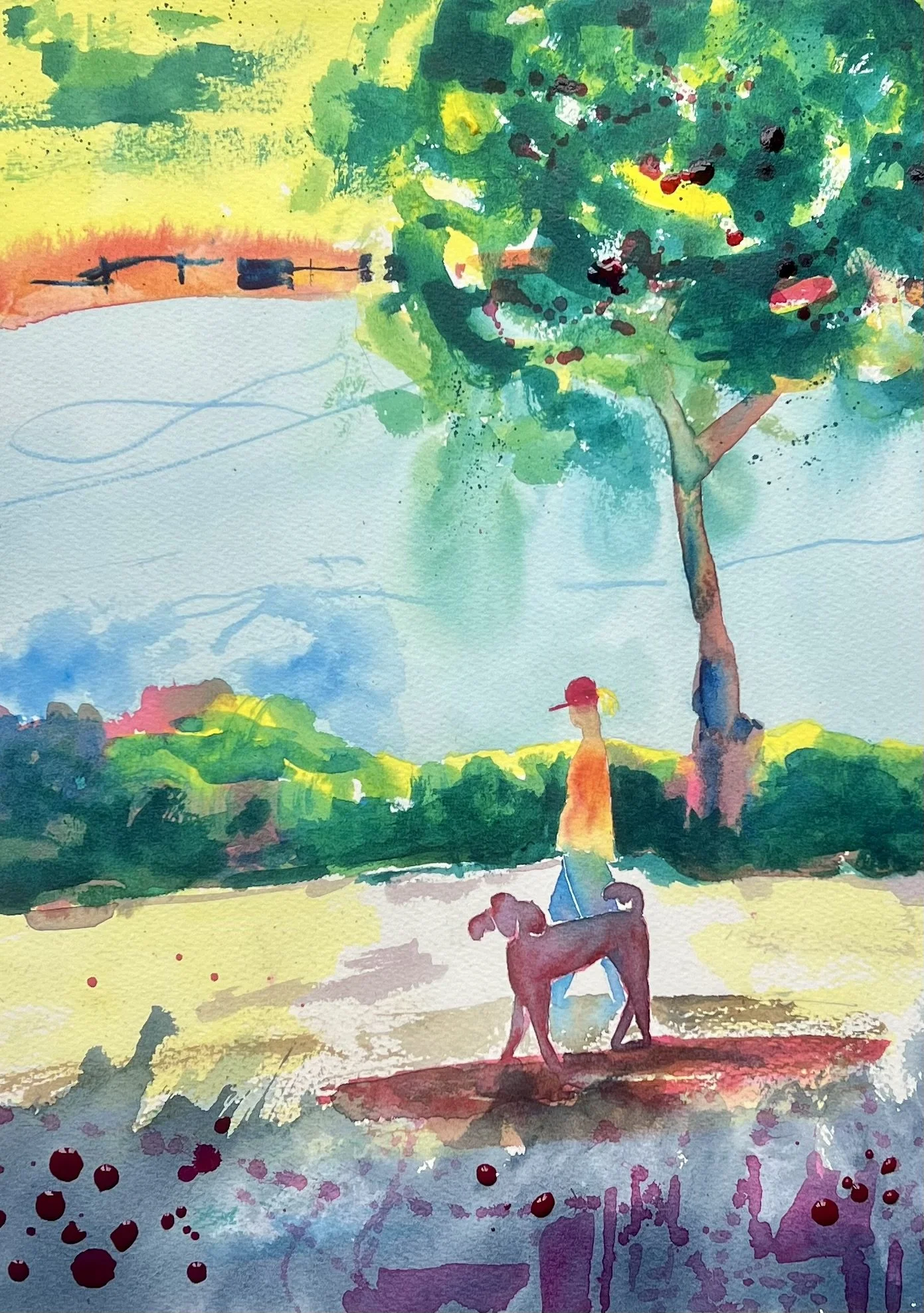 Poodle walking in the wetlands