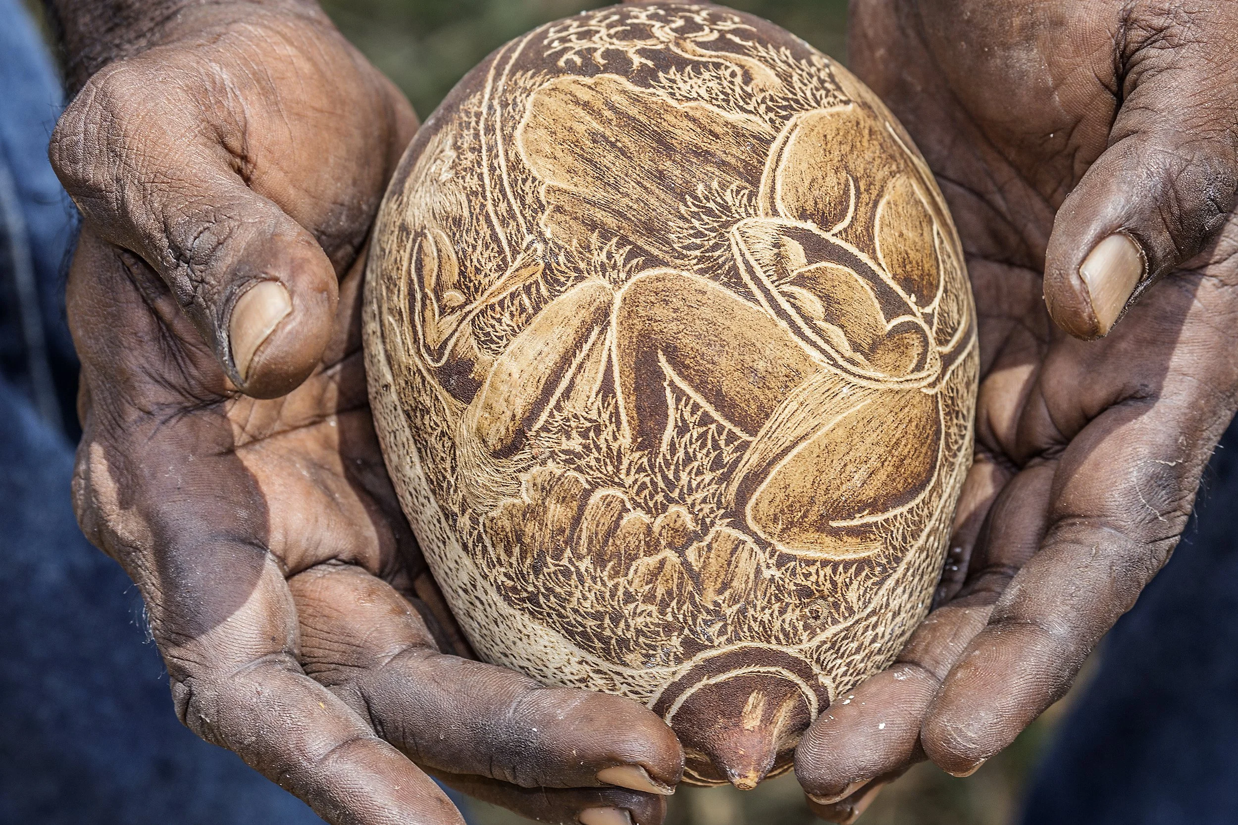 Traditional boab carving, Kununurra