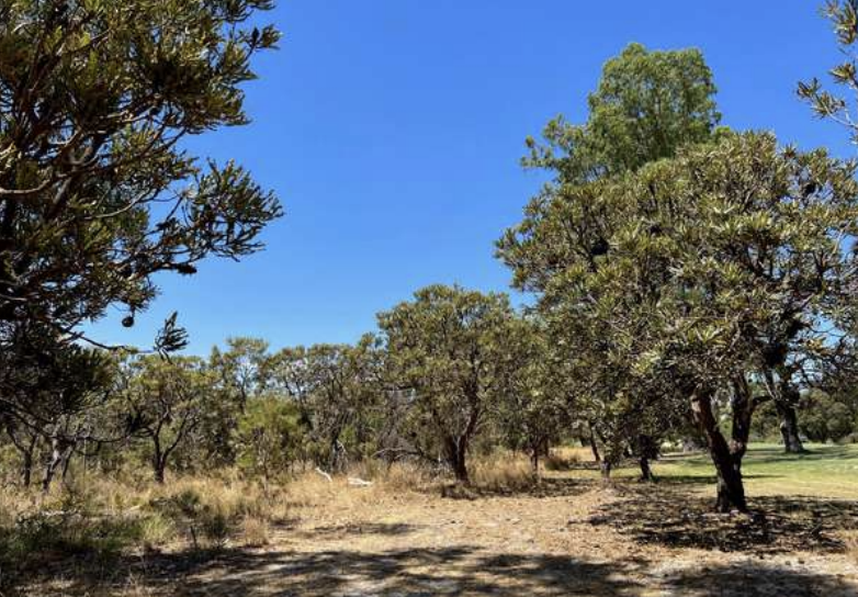 Screenshot 2026-01-27 at 3.41.11 pm.png