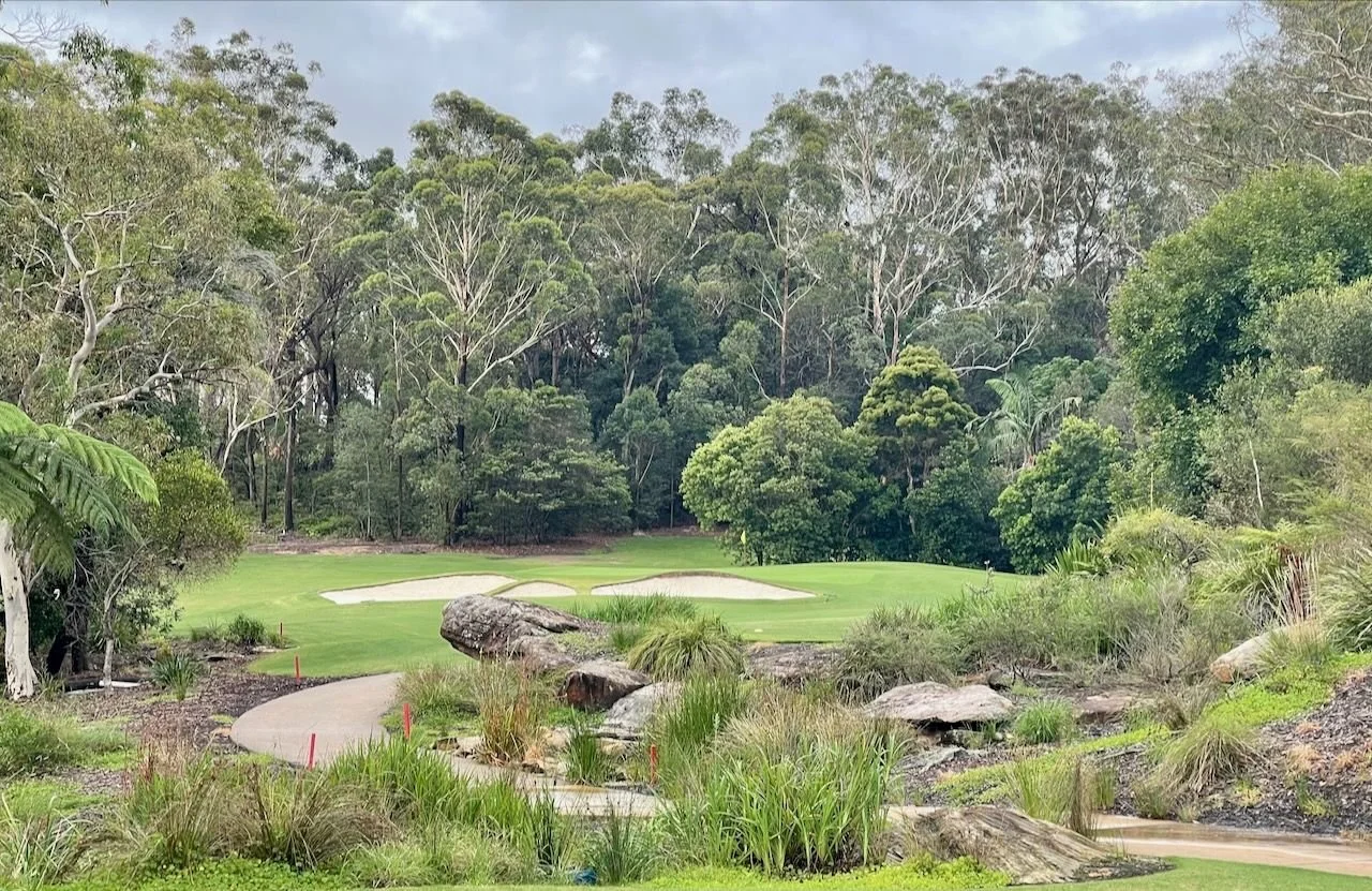 Avondale_GC-_hole_15.jpeg