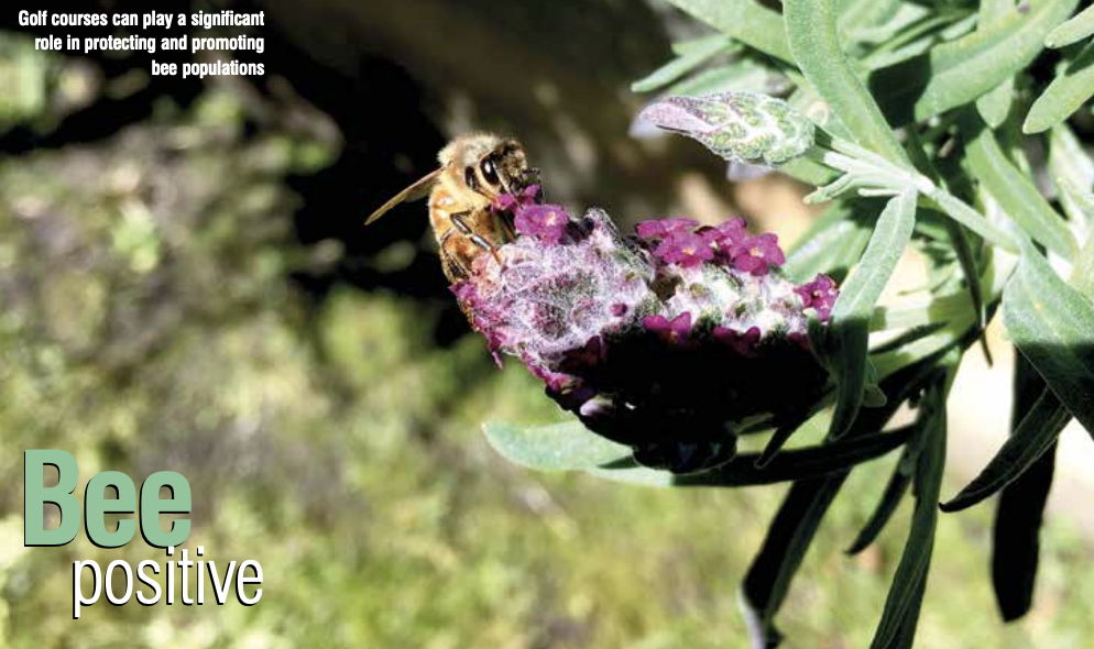 Screenshot 2025-01-14 at 10.59.06 am.png