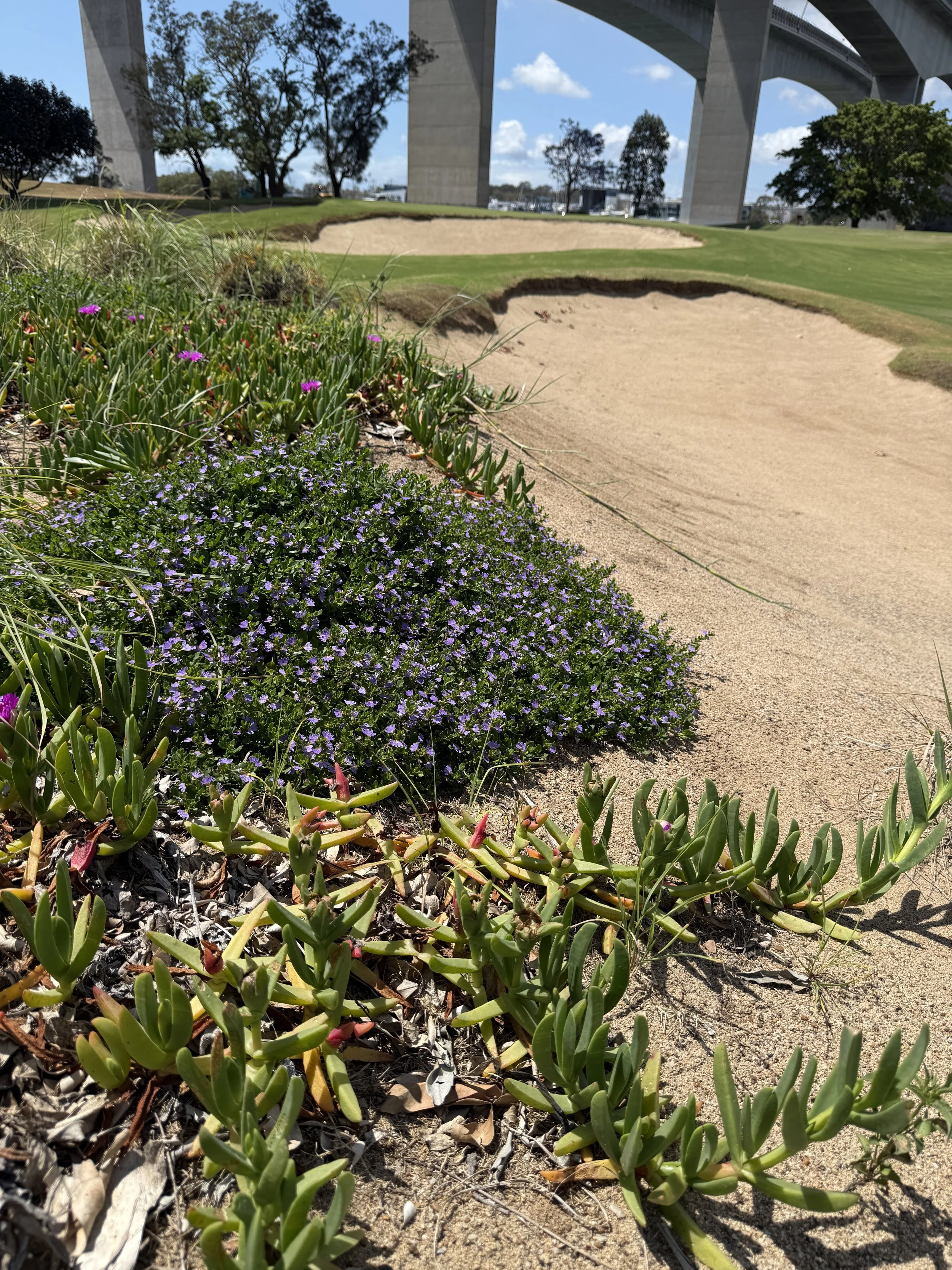 Royal Queensland Golf Club