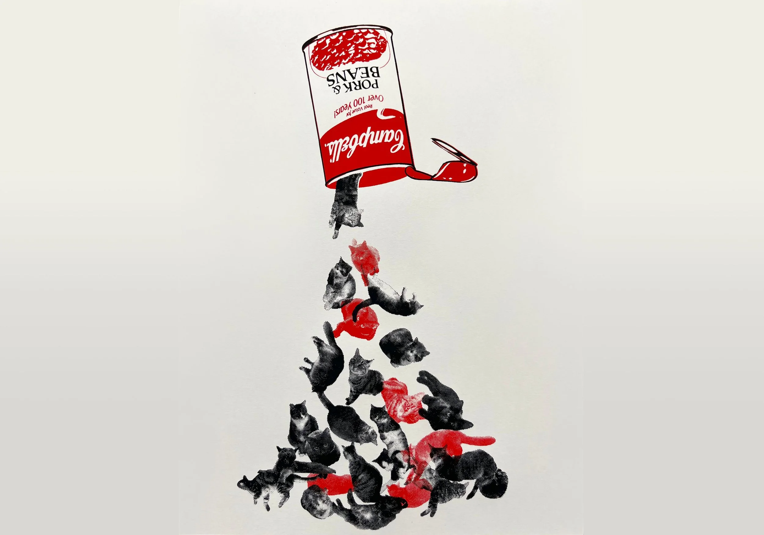 Don't Spill the / Cats Out of the Bag