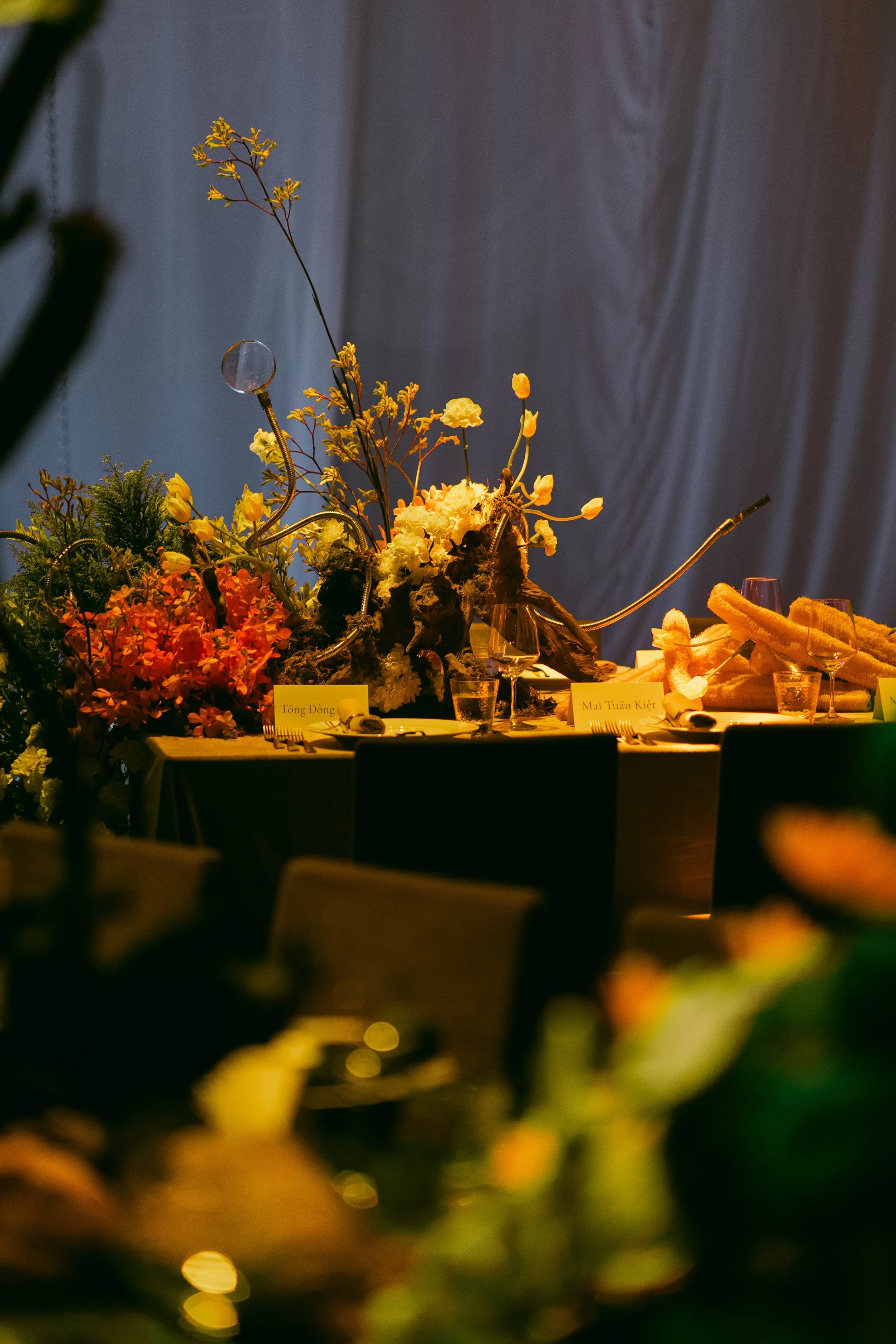 DSC02810.jpg