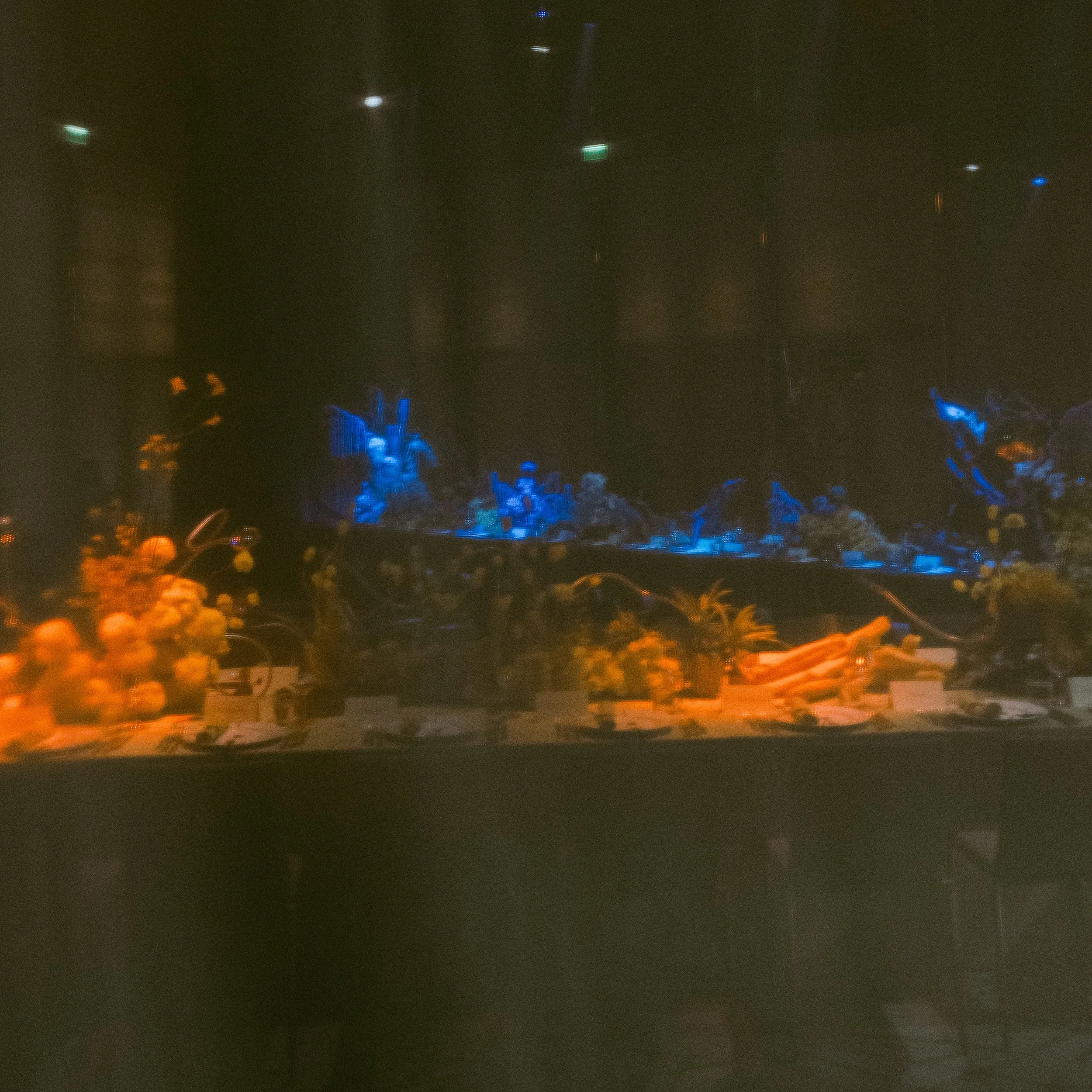 DSC02867.jpg