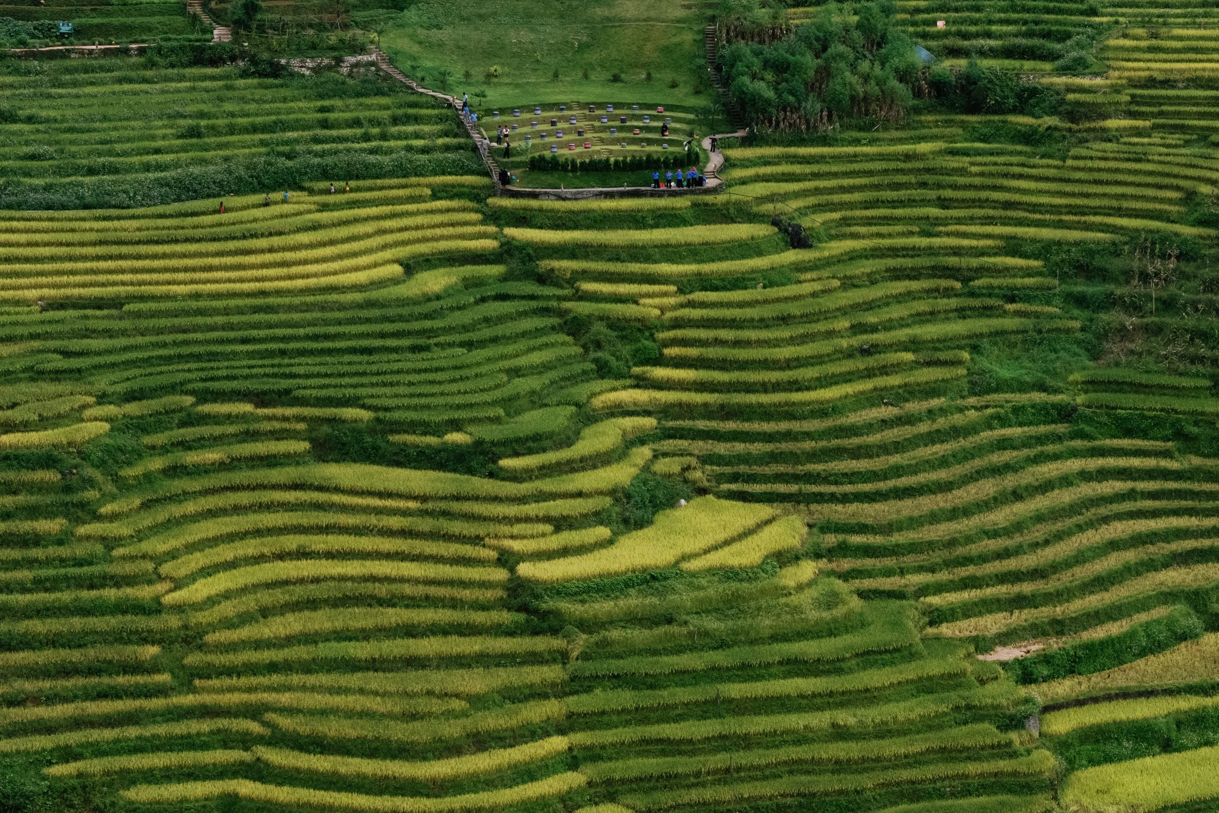 DJI_20250830164048_0030_D.jpg
