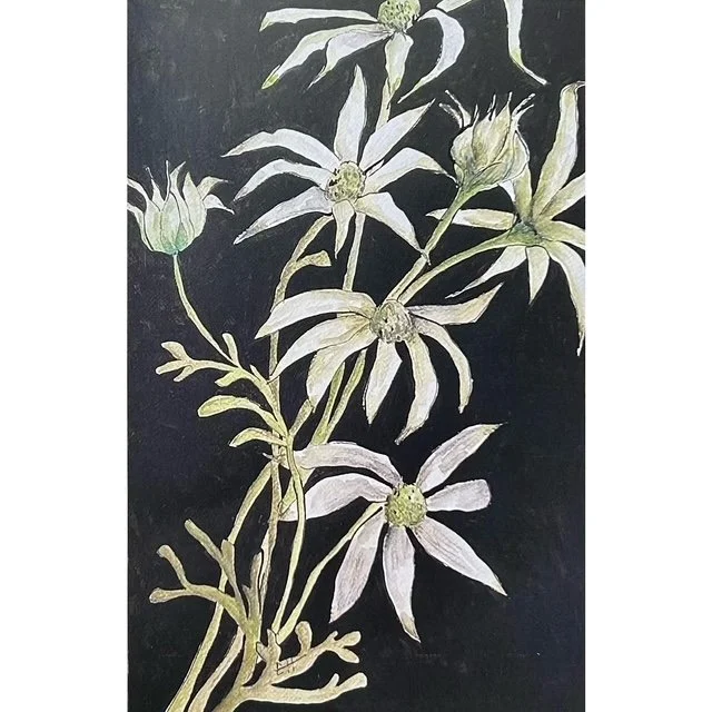 Flannel Flowers Art Card