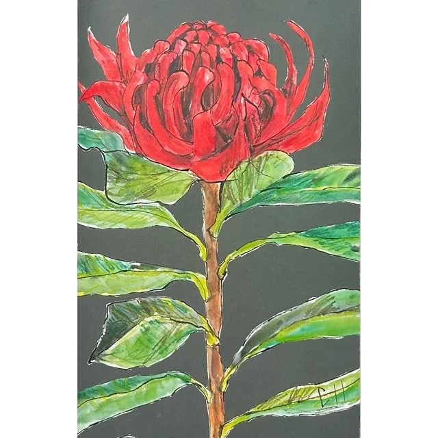 Waratah Art Card