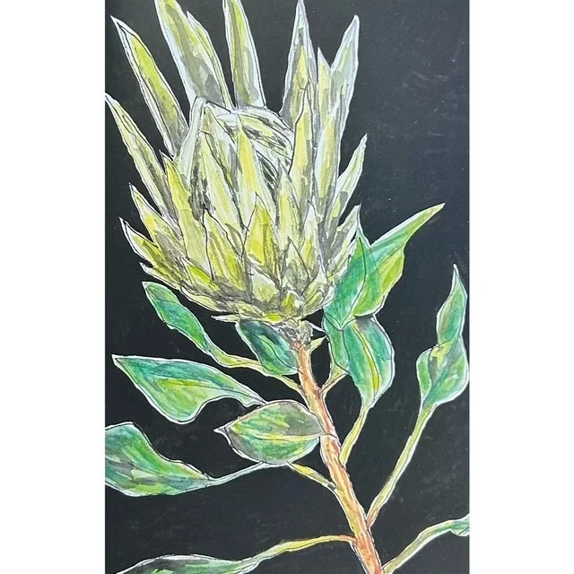 Protea Art Card