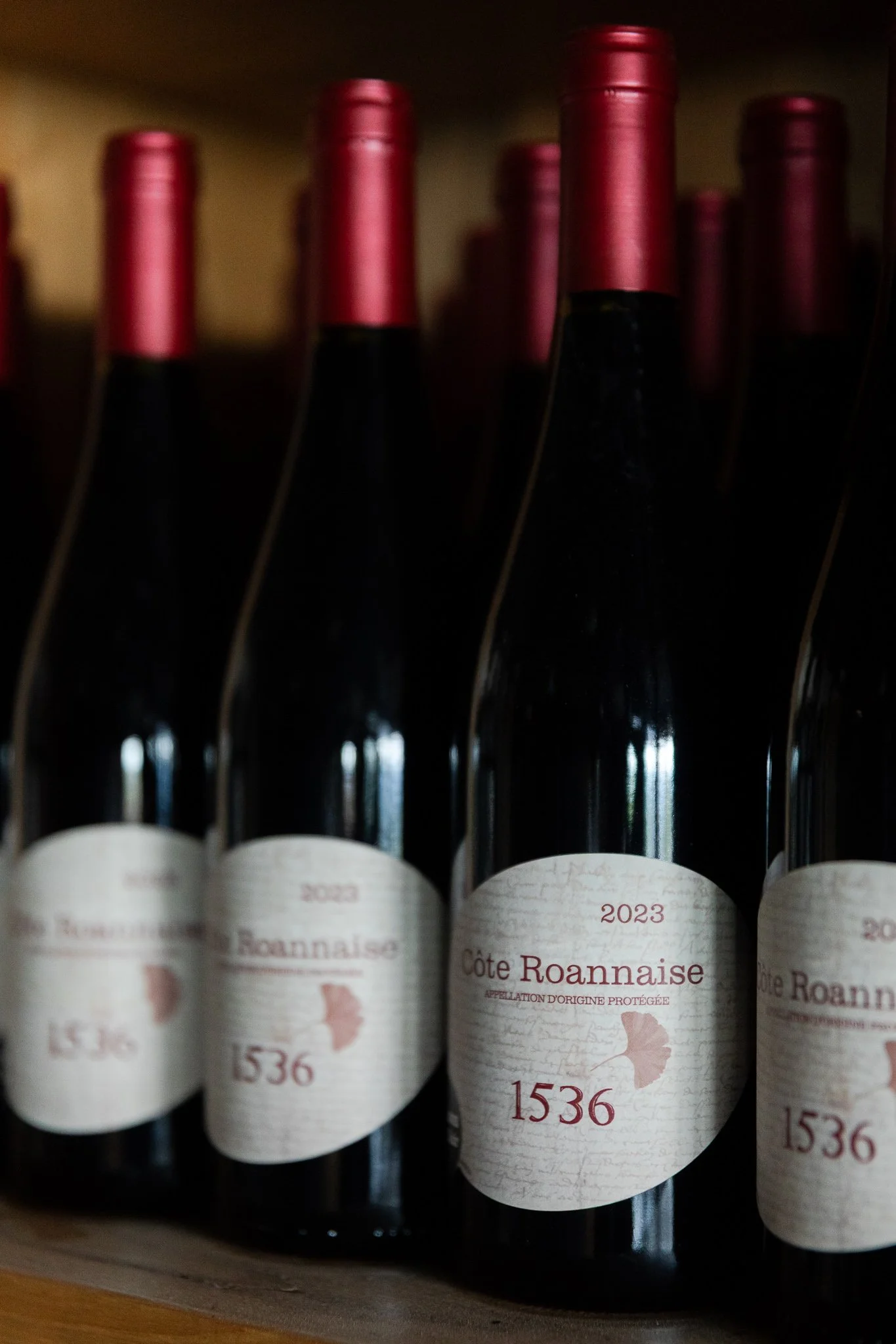 William-Plin-photographe-Lyon-vin-170526-533A6952.jpg