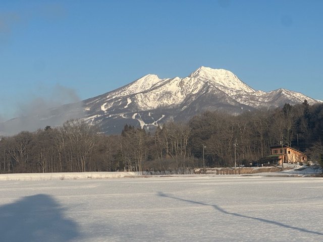 Light in the Darkness