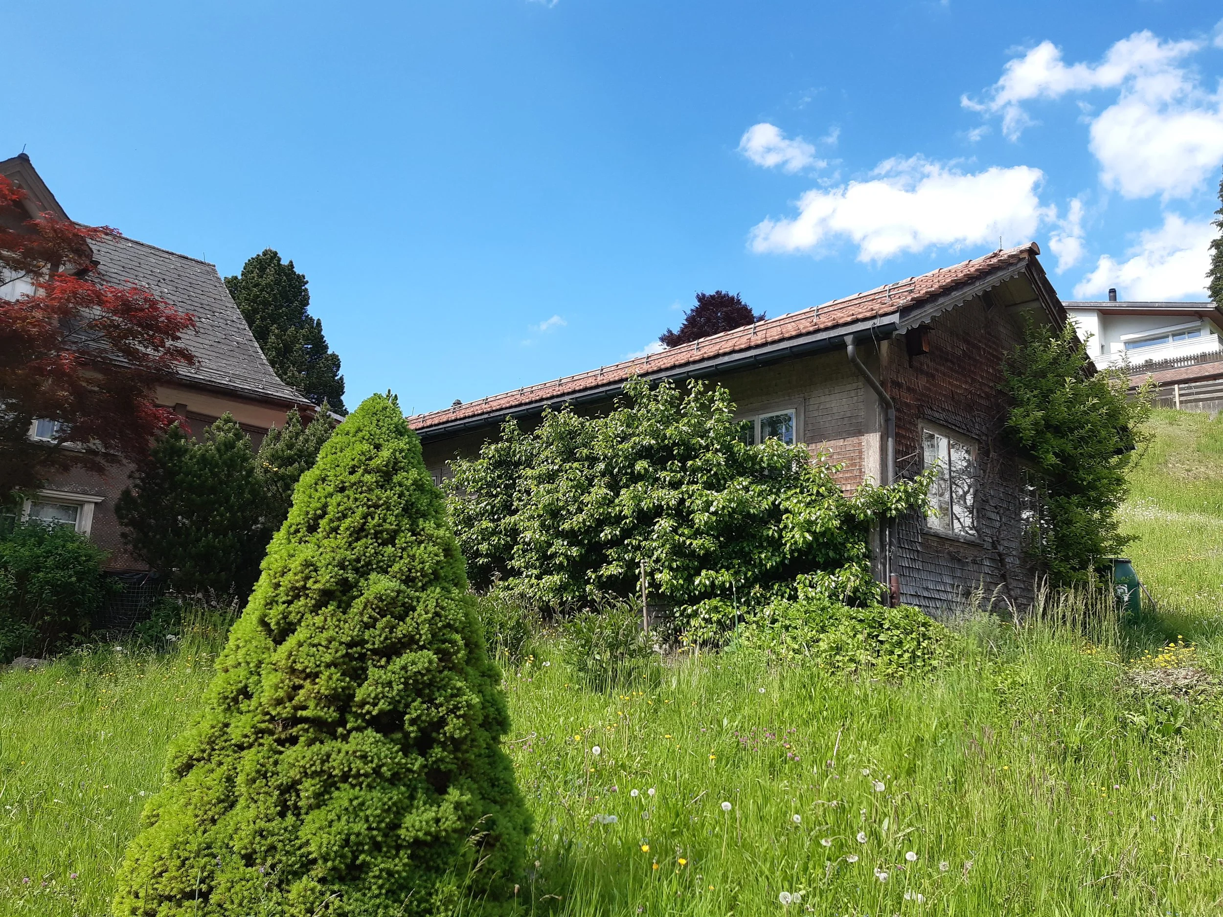 Iyengar Yoga Wochenende im Toggenburg