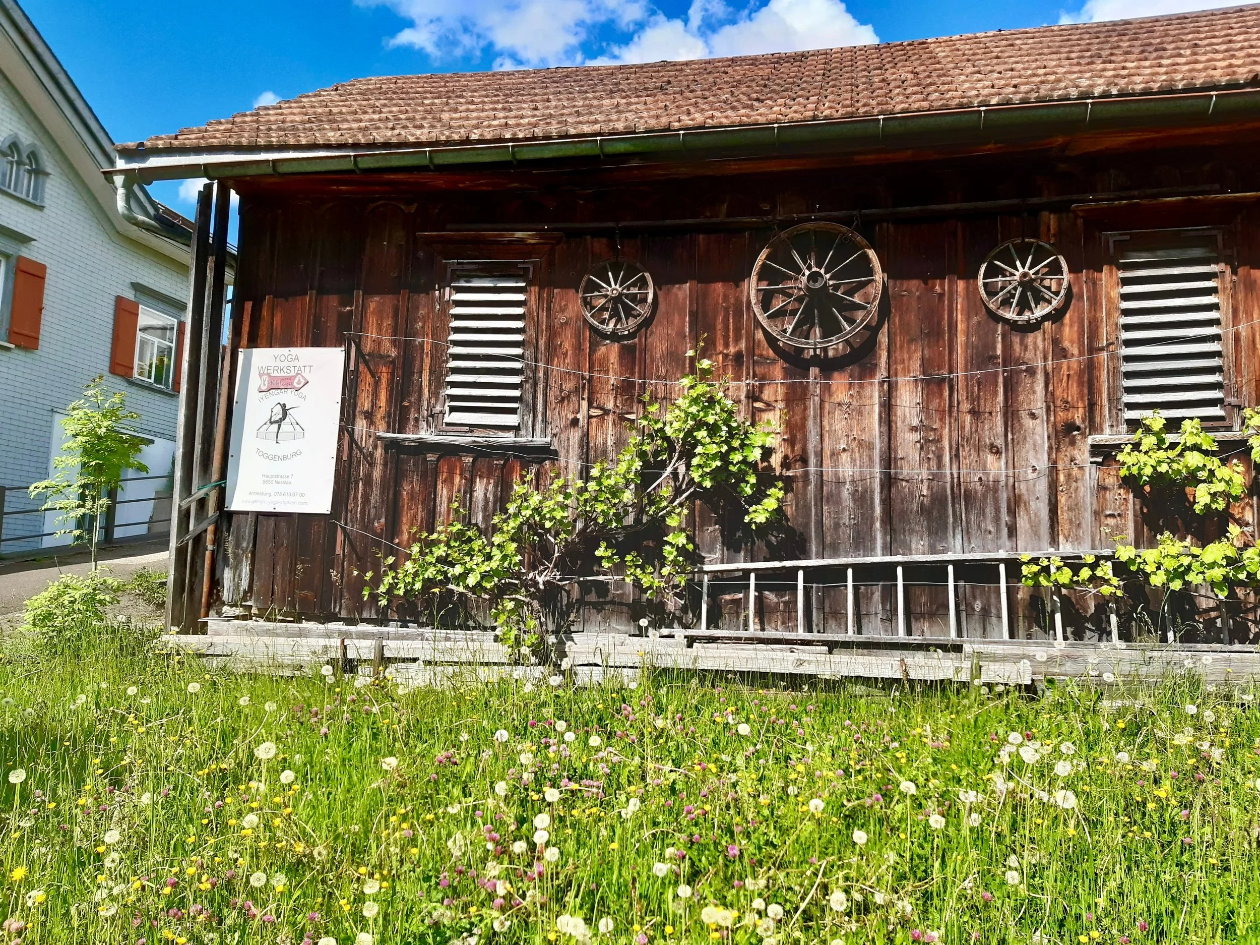 Iyengar Yoga Wochenende im Toggenburg