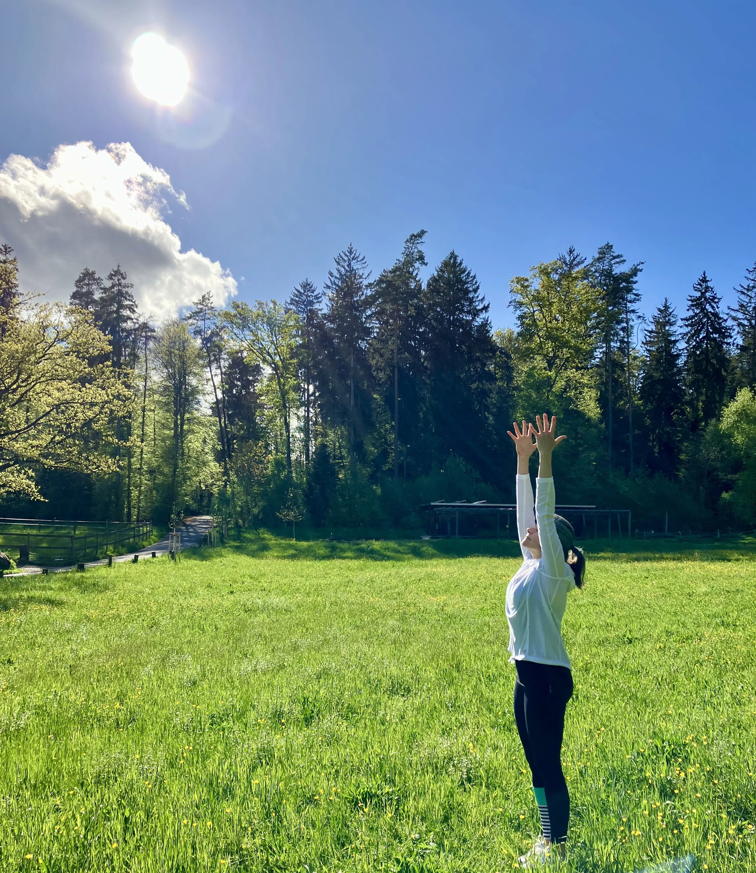 Hallo Frühling - 108 Sonnengrüsse zur Tag-und-Nacht-Gleiche