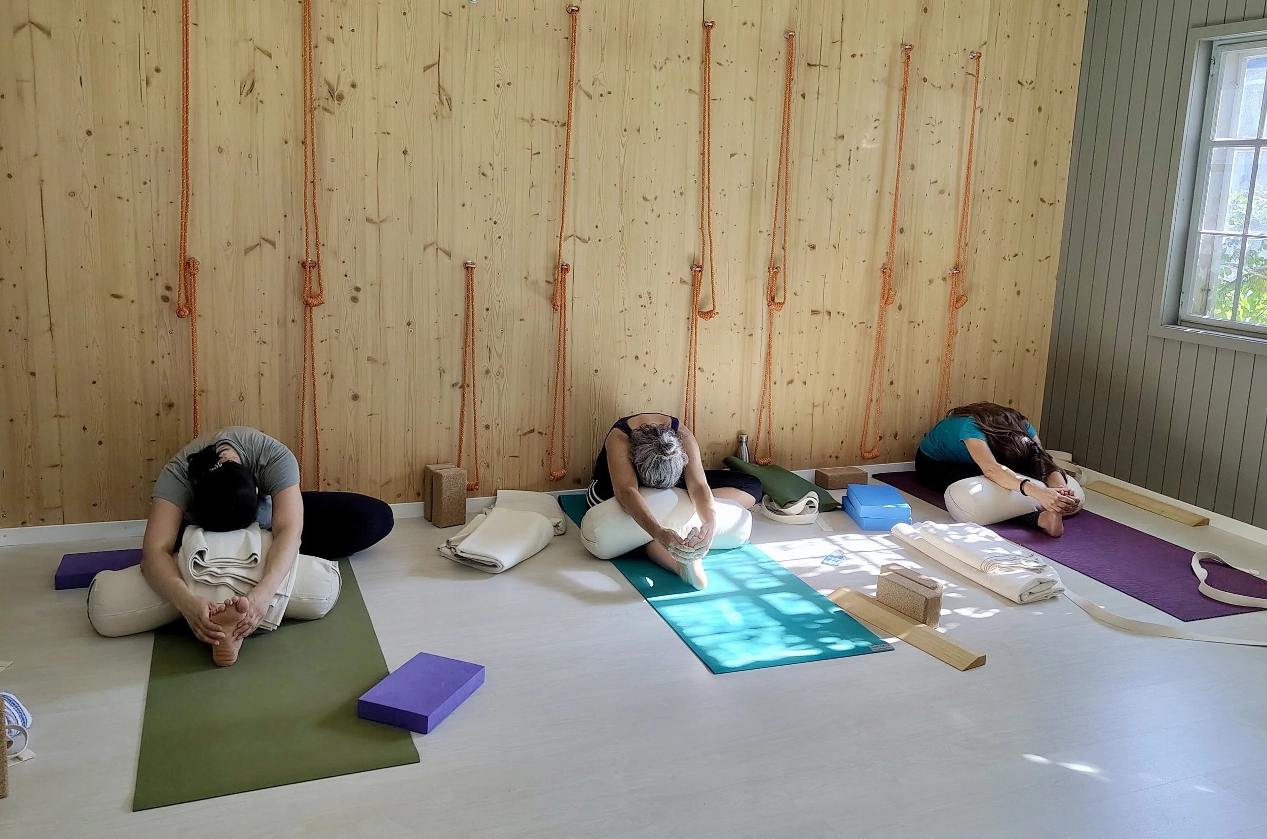 Iyengar Yoga Wochenende im Toggenburg