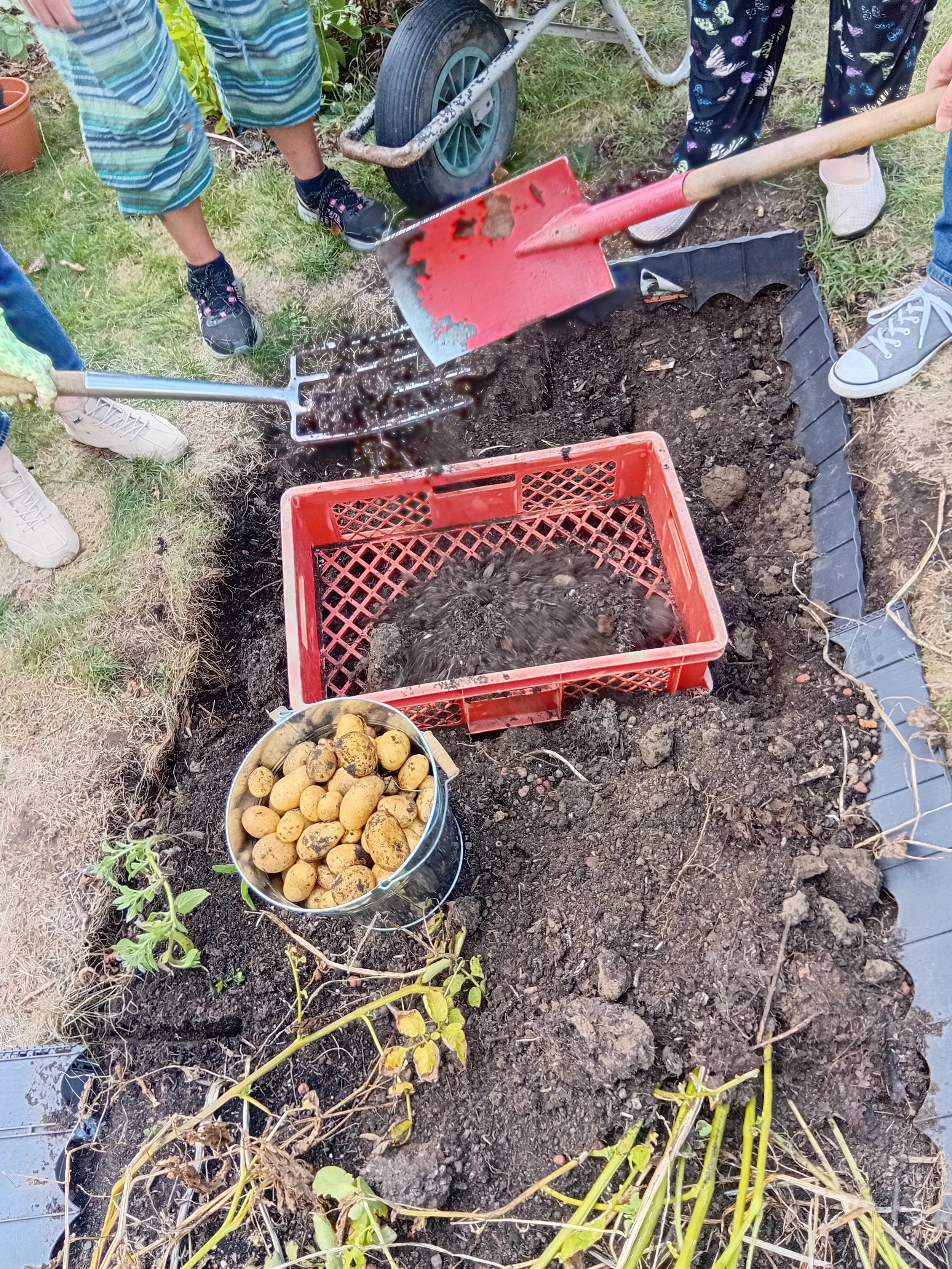 Gartentreffen des Urban Gardening auf dem Bayer-Platz