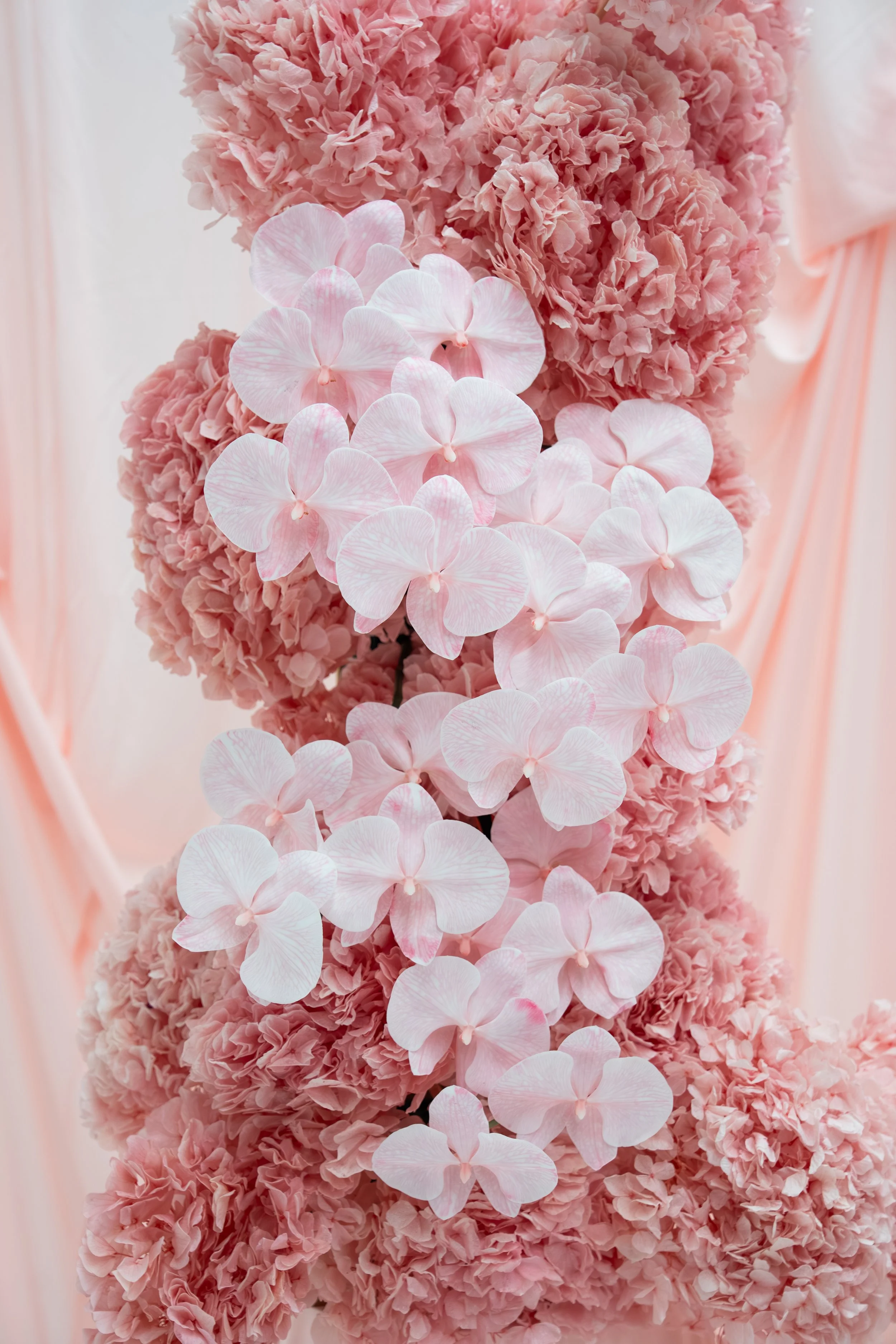 Drape Dream Team-273.jpg