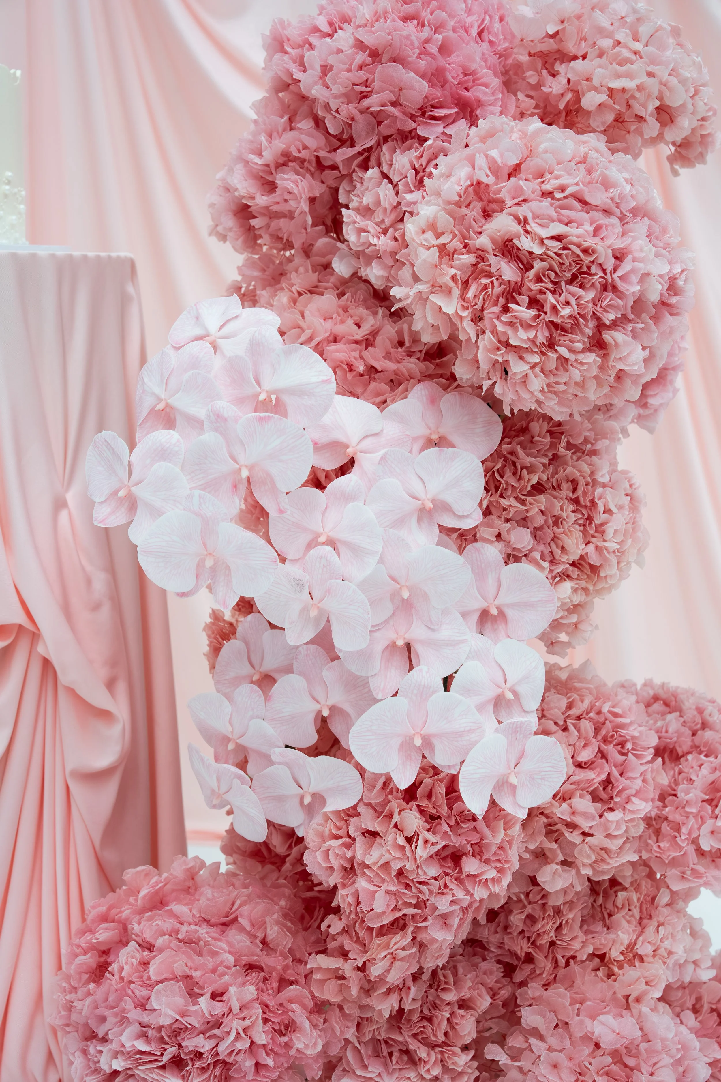 Drape Dream Team-272.jpg