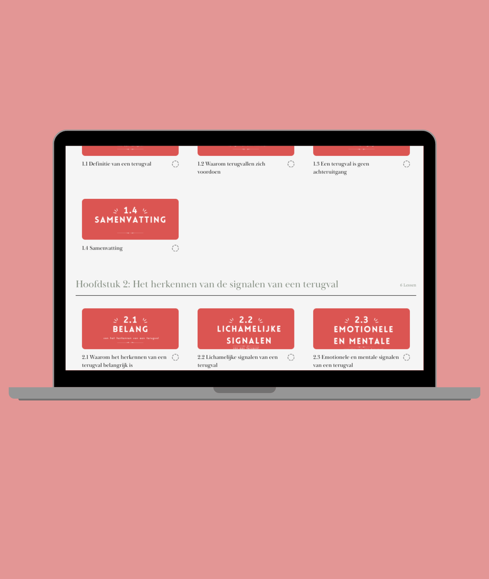 Terugval Management Course, de modules