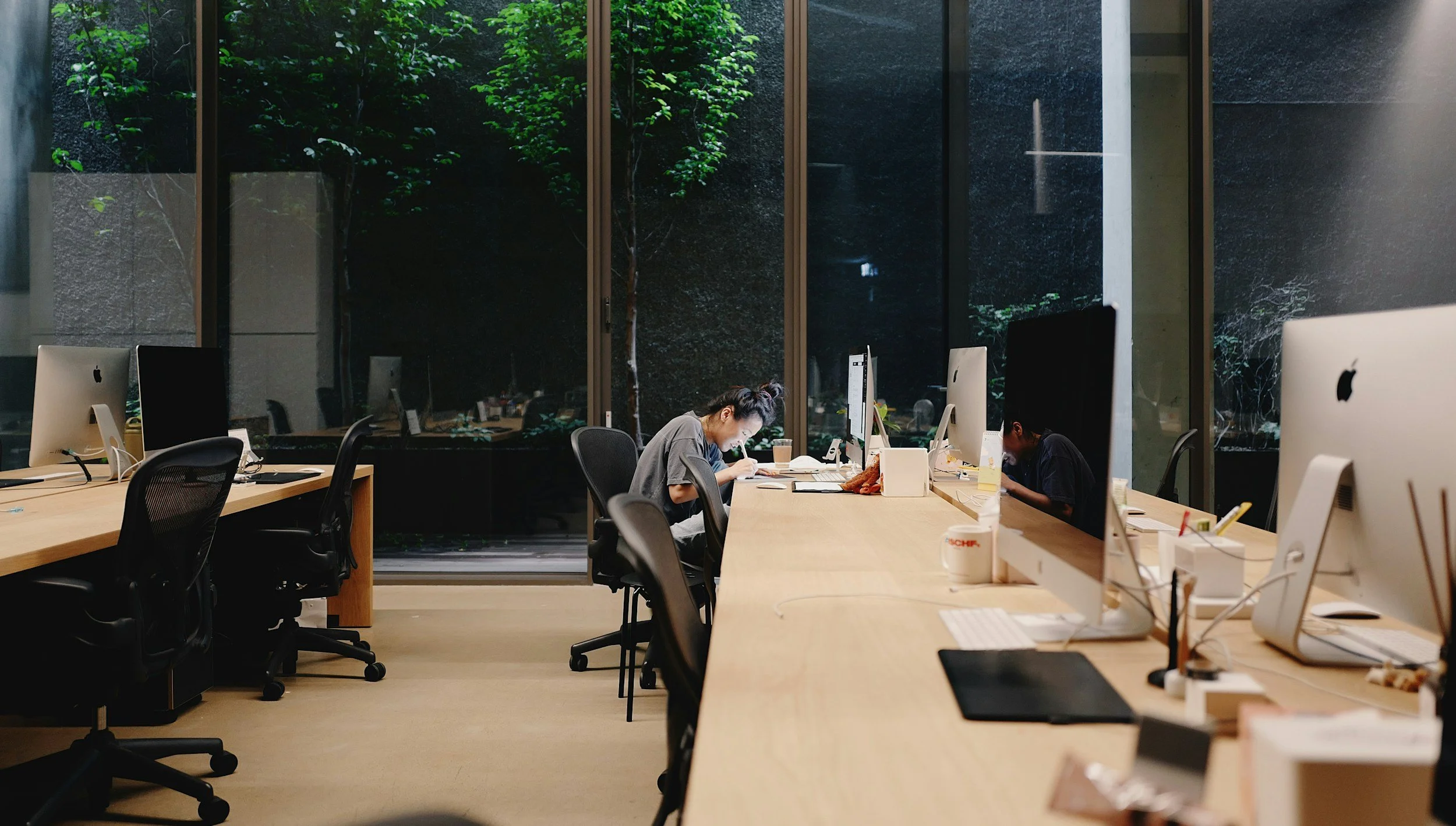 Employees working at desks in a modern office with large window and green trees outside.