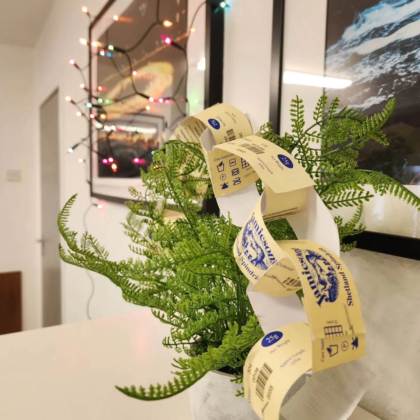 Christmas tree and lights are up in the office! 

Yes, it's a fake fern. Might need to improve on the decorations for next year. 😄 

#shetland #office #christmasdecor #jamiesonofshetland #shetlandpeeriemakkers