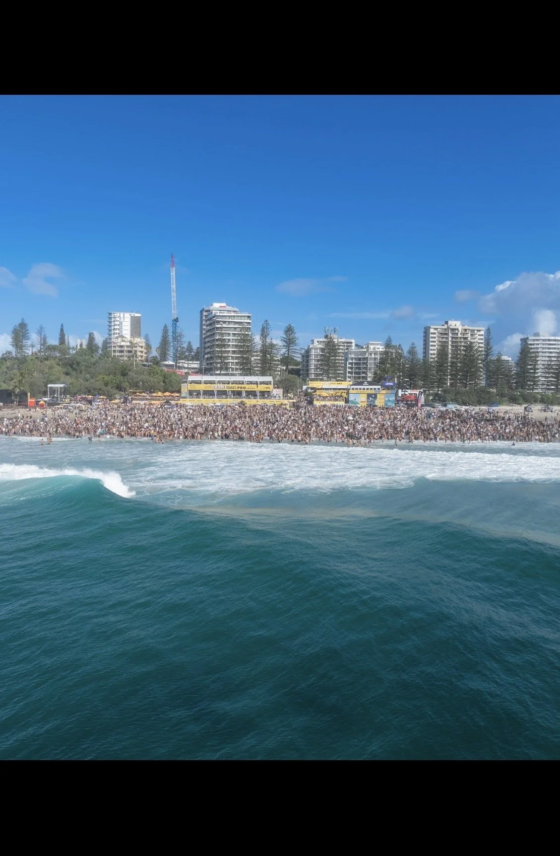 Snapper Surf Pro.jpg