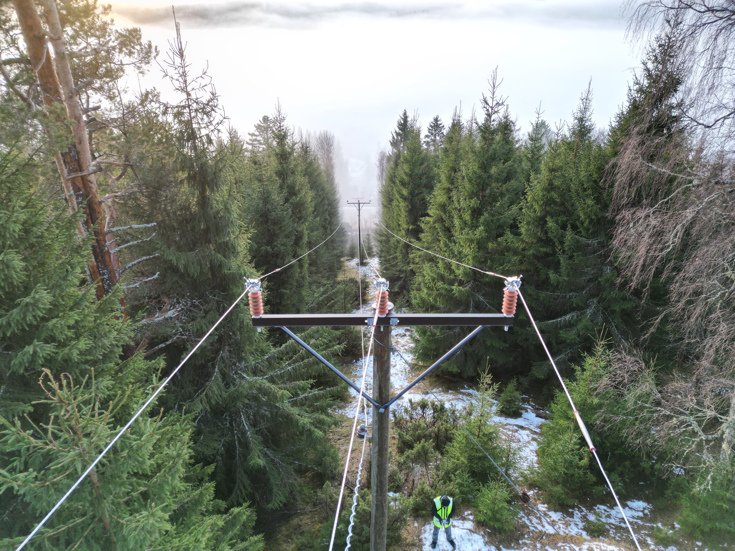 Nettalliansen og AIREL skaper fremtidens skogforvaltning