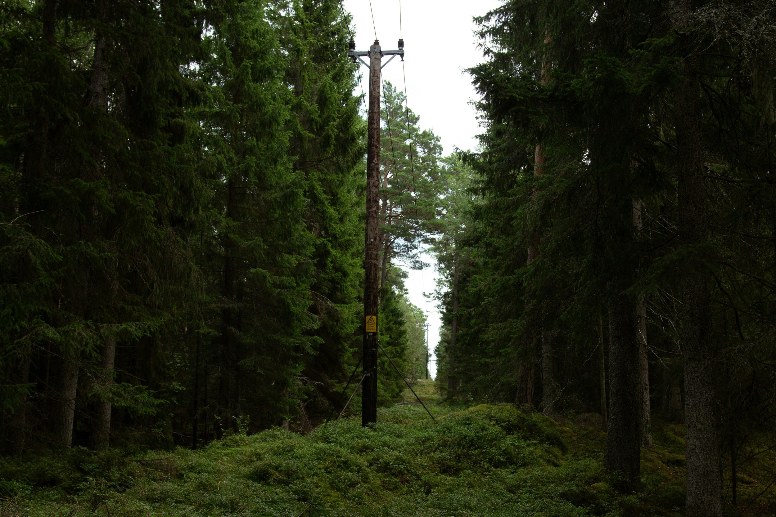 Nettselskapene gambler med strømforsyningen