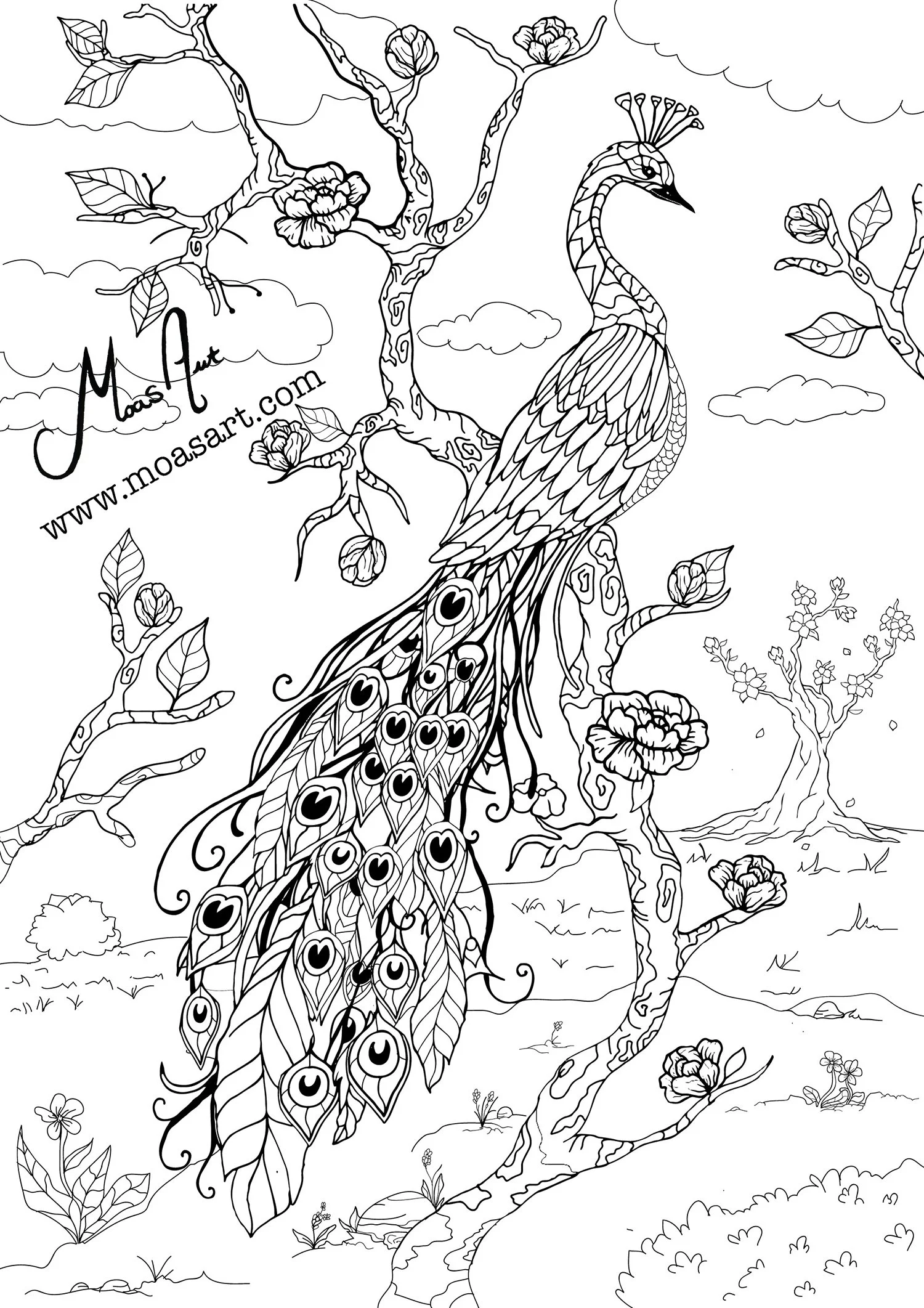 Peakockfinal copy.jpg