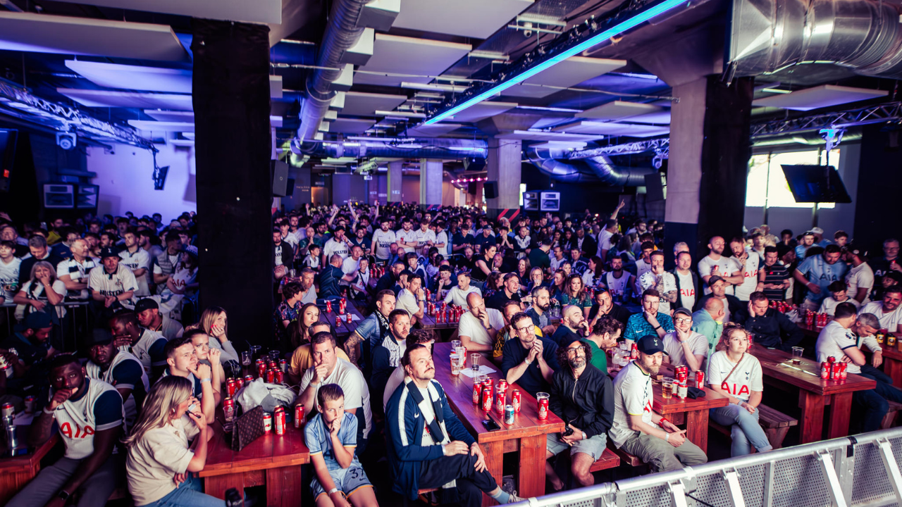 crowd of football fans facing the screen