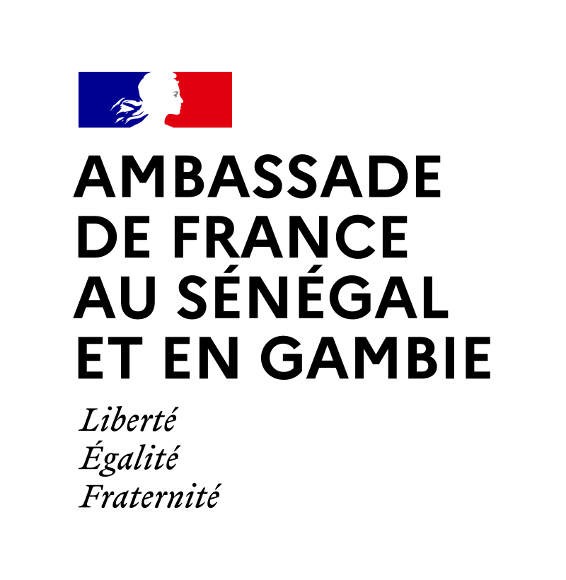 SN_ambaFrance.svg.png