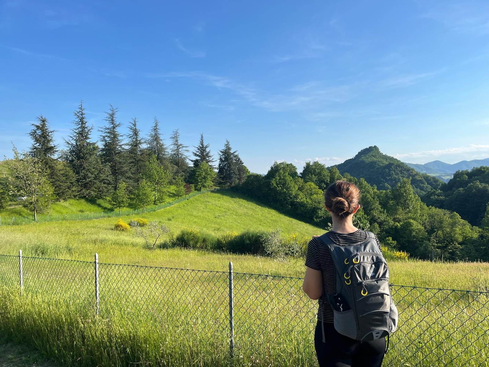 02a68e84-62f8-423f-a62d-9abc780708ec.jpg