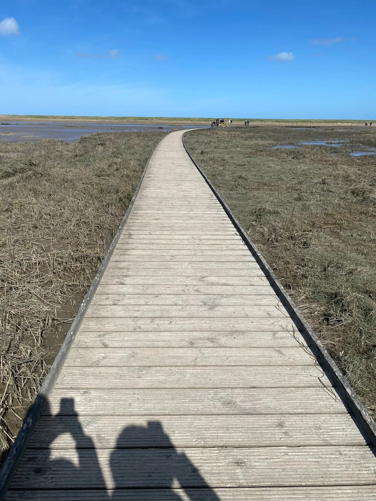Langwarder Groden Wanderweg über den Deich