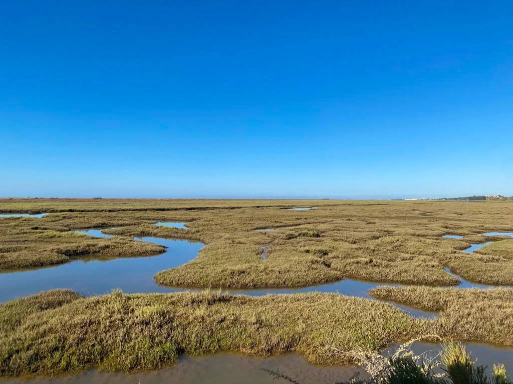 Ria Formosa - Algarve - Portugal