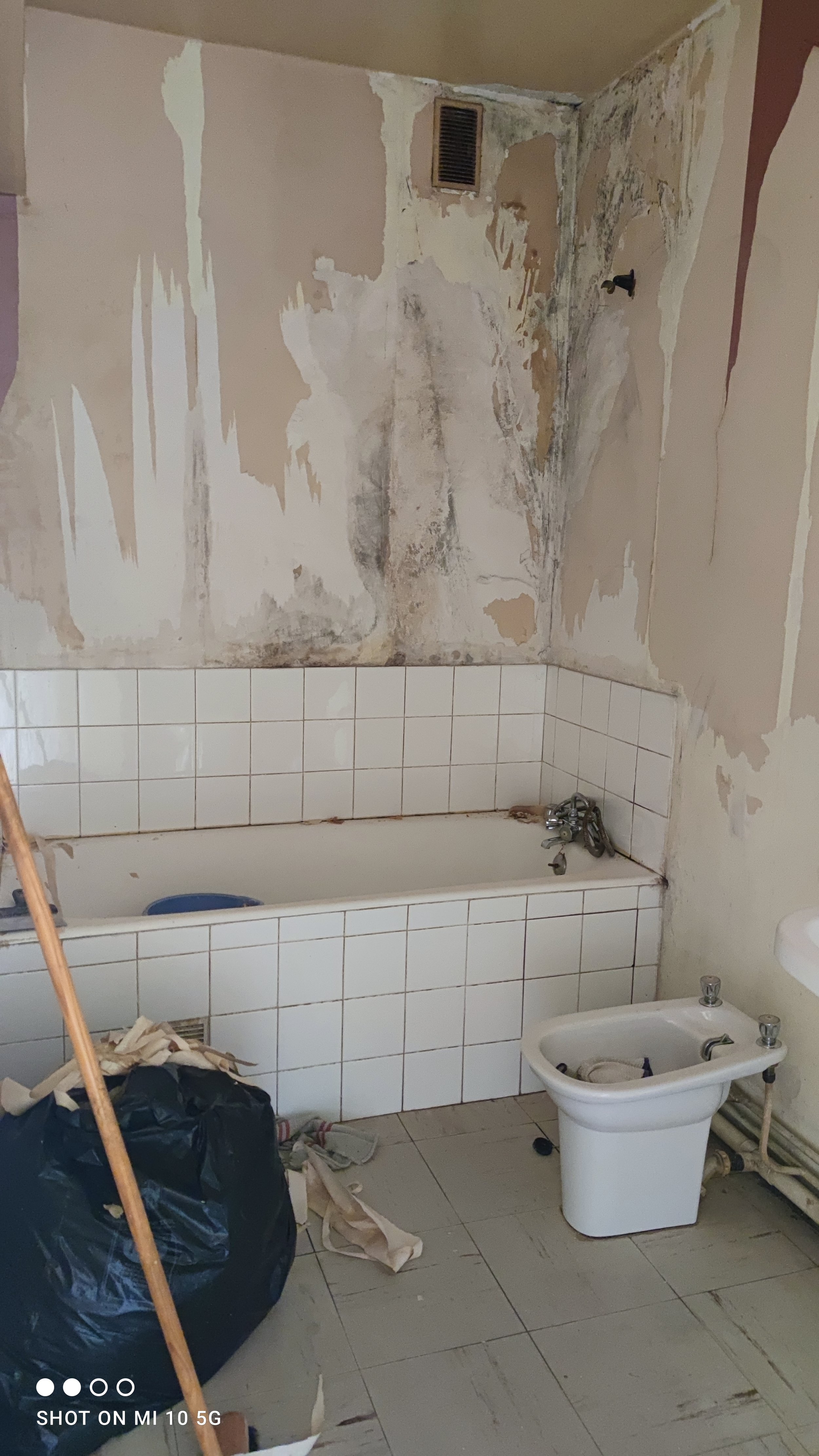 AVANT - Salle de bain - Agencement d'un appartement complet à Dinan (22)