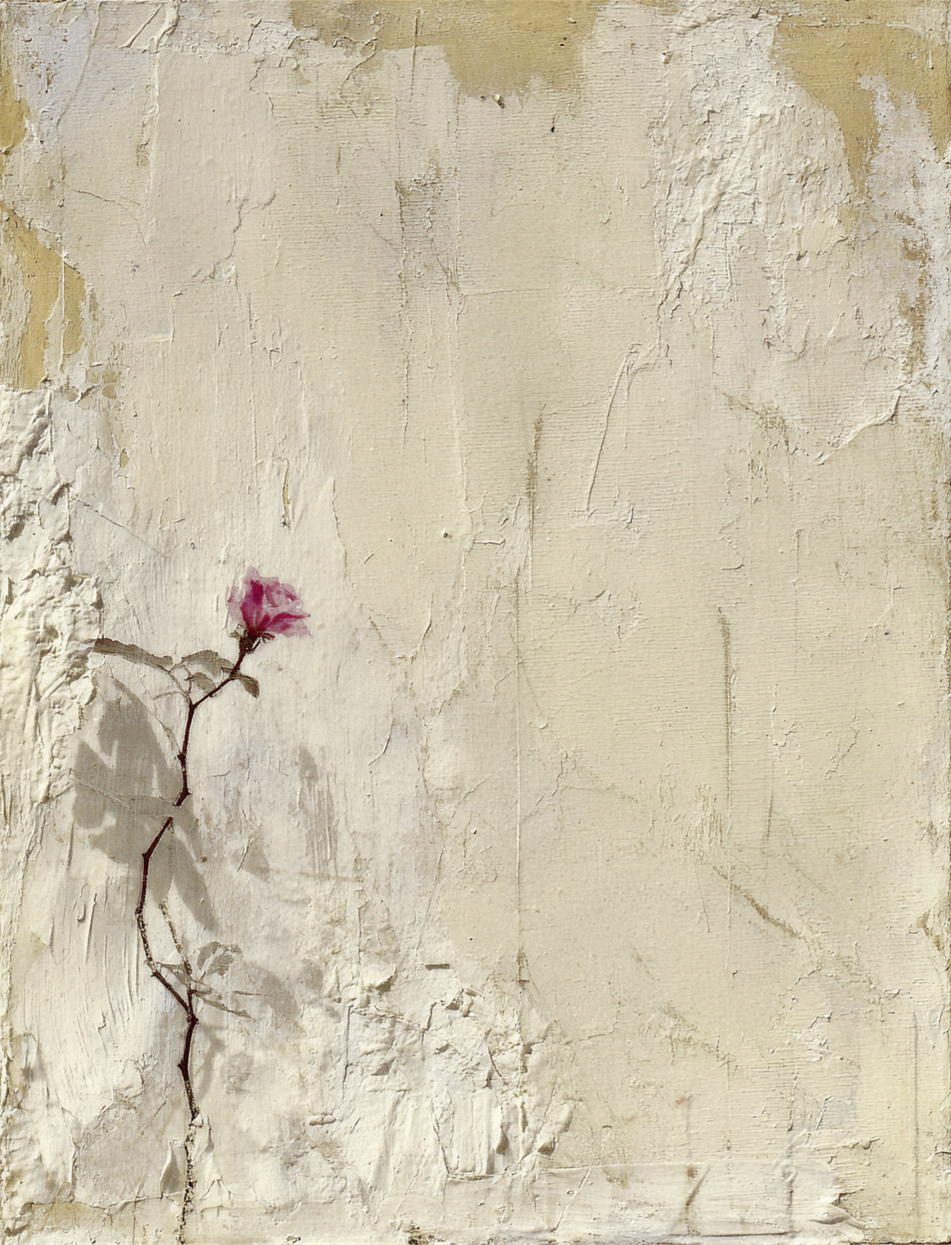 eng_rose_cottage_1_5.png
