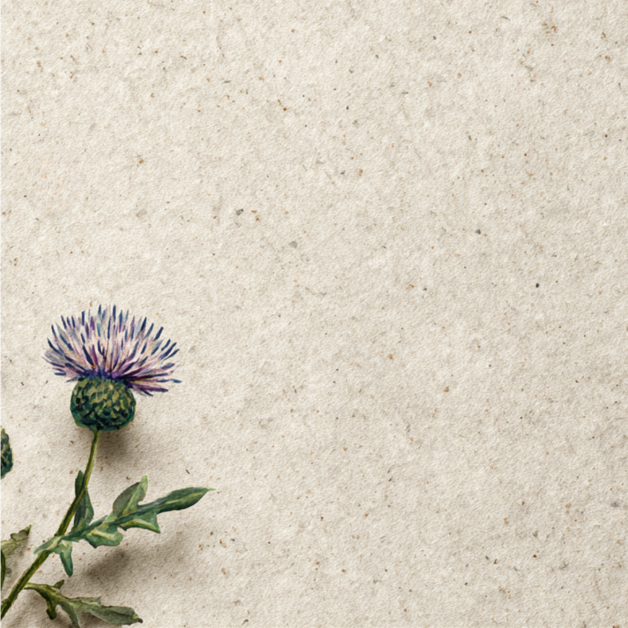 eng_rose_cottage_2_7.png