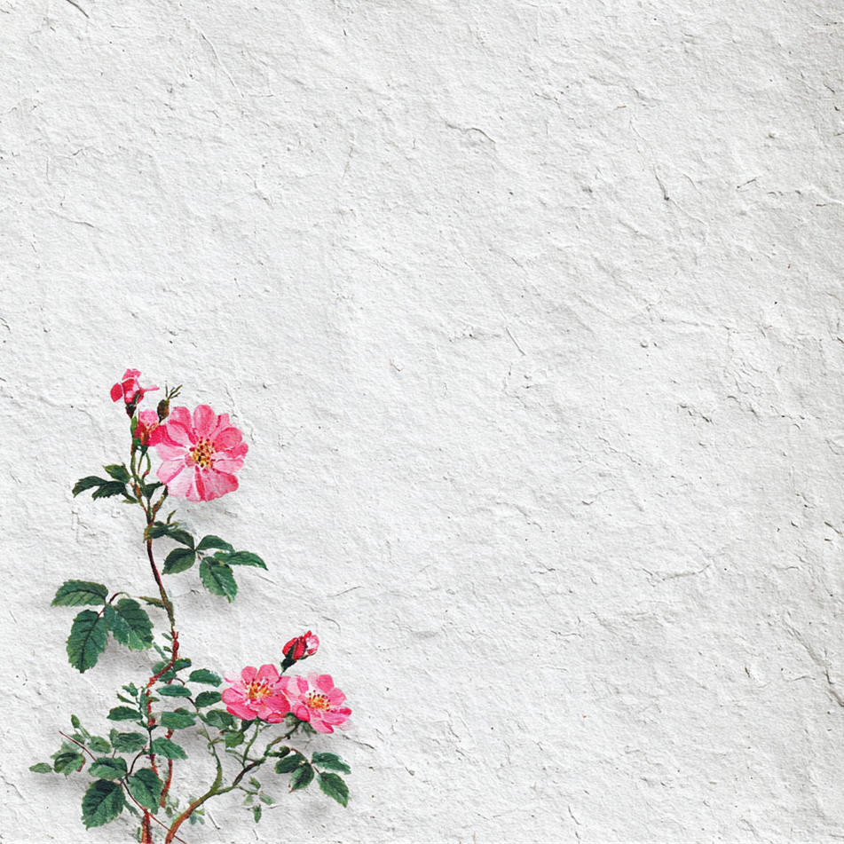 eng_rose_cottage_6_30.png