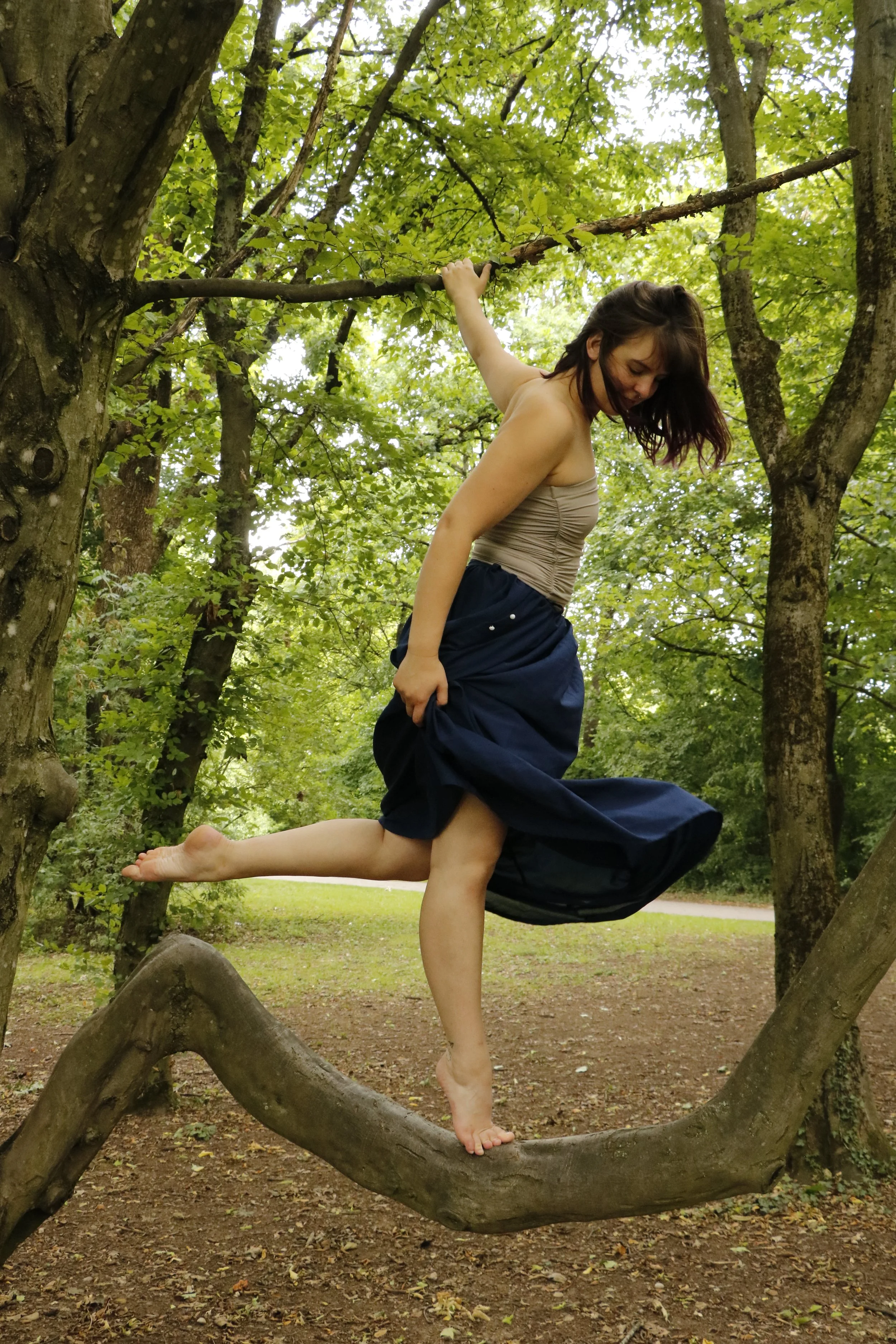 beaute dans les arbres.JPG