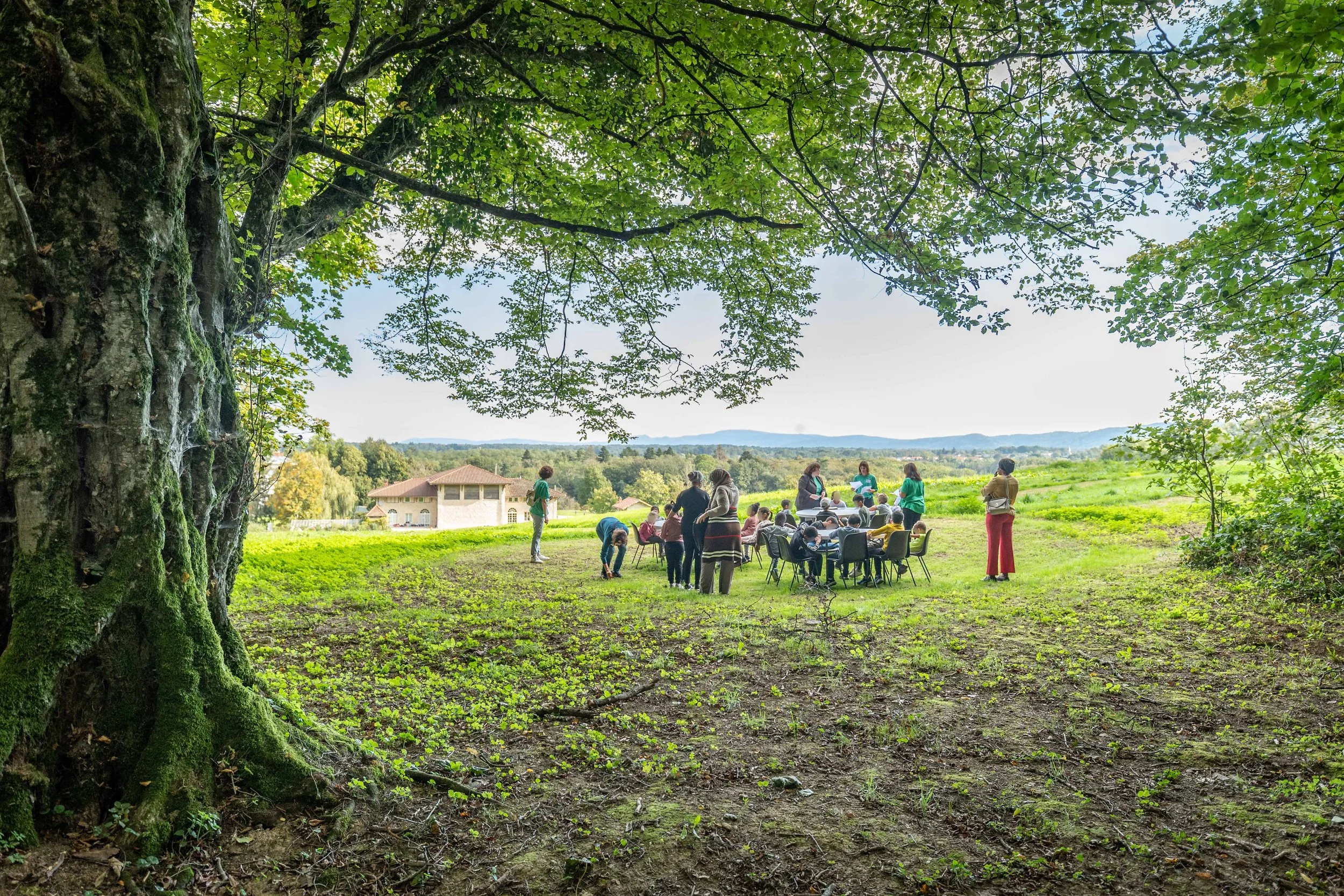 Festival Forêt vivante, “Le mystère des arbres”