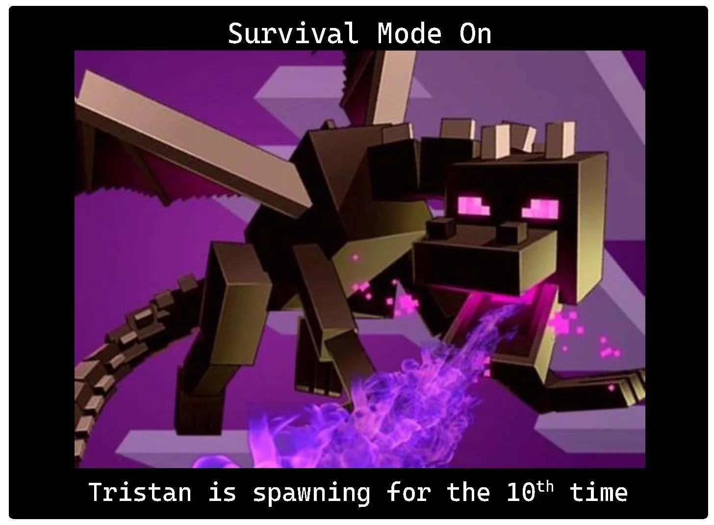 enderdragonfrontjpg.jpg