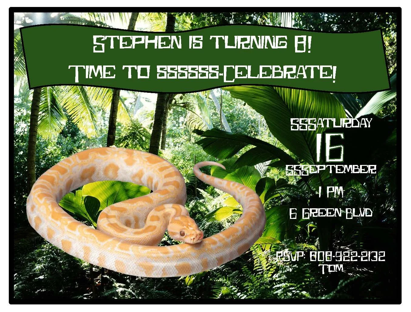 Snake Invitation, 12