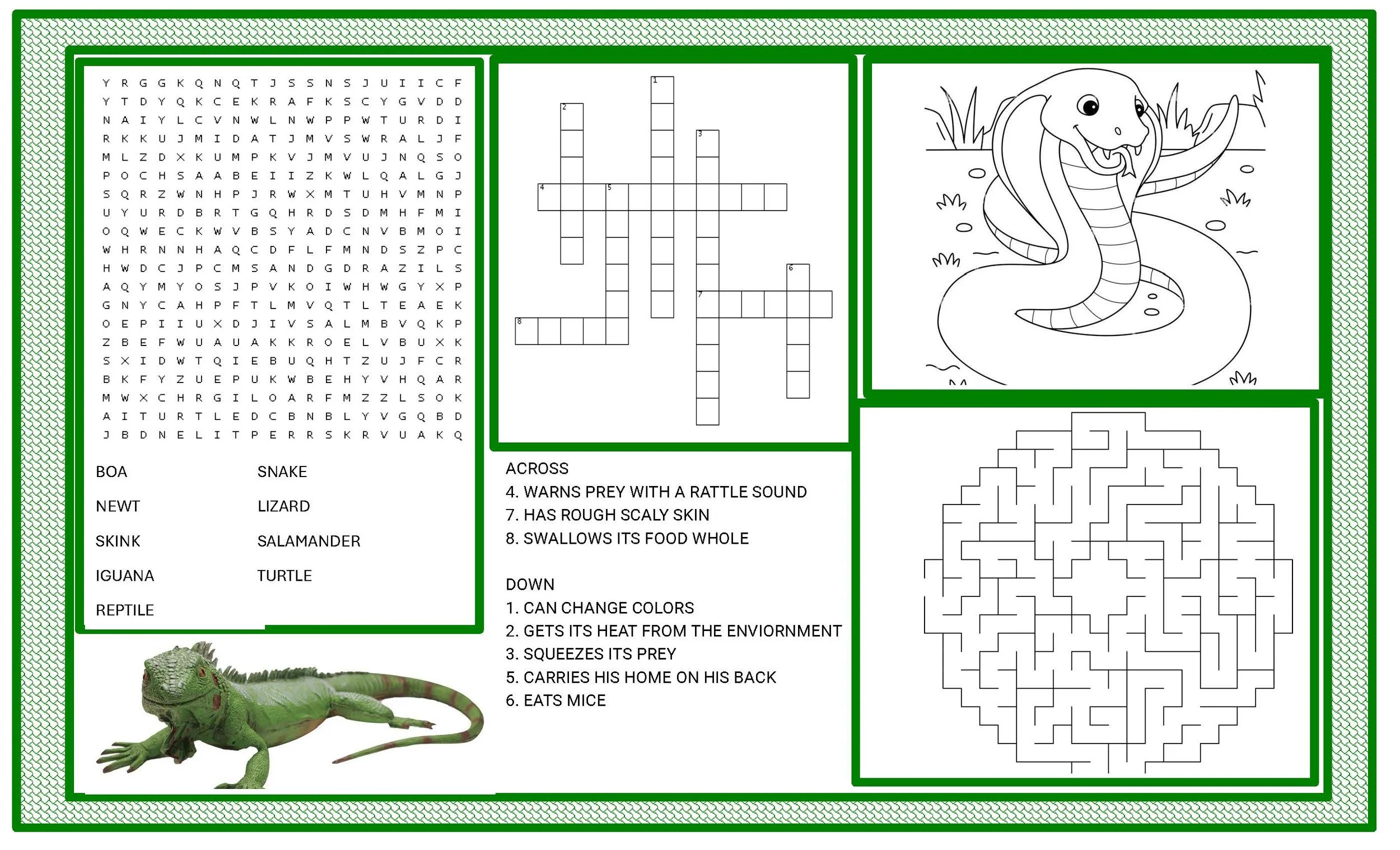 Reptile Activity Placemats, 12