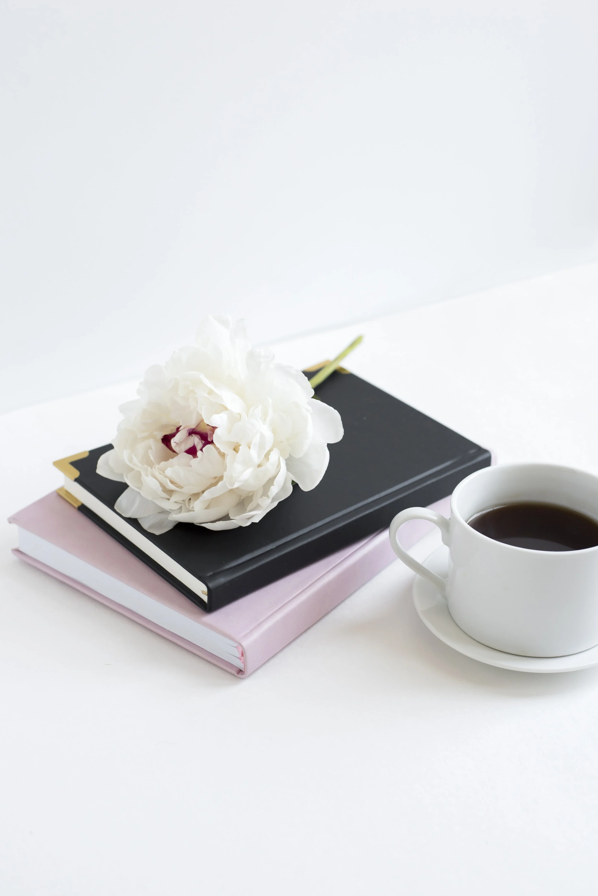 Wealthology Insider Mail #12