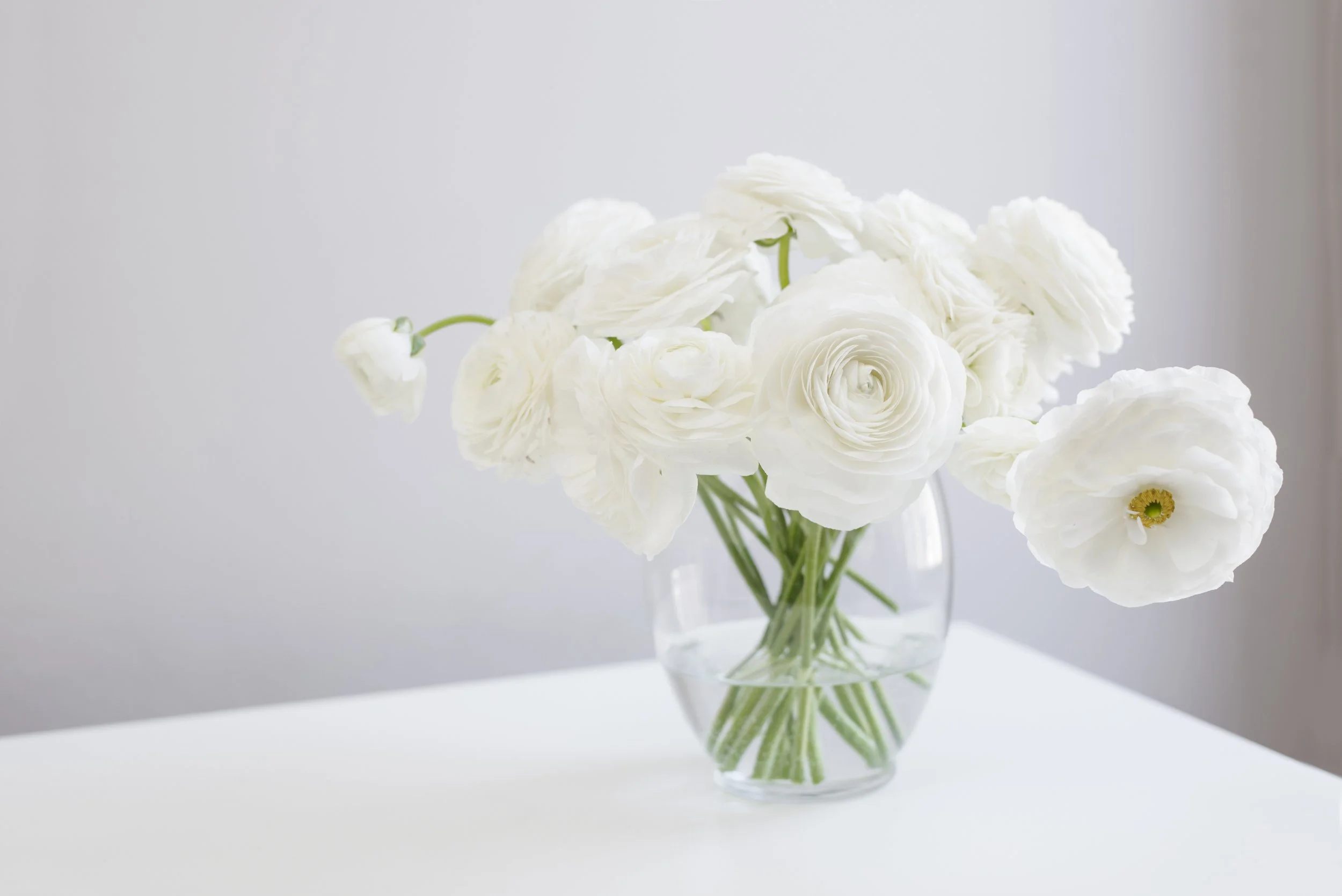 Wealthology Insider Mail #16