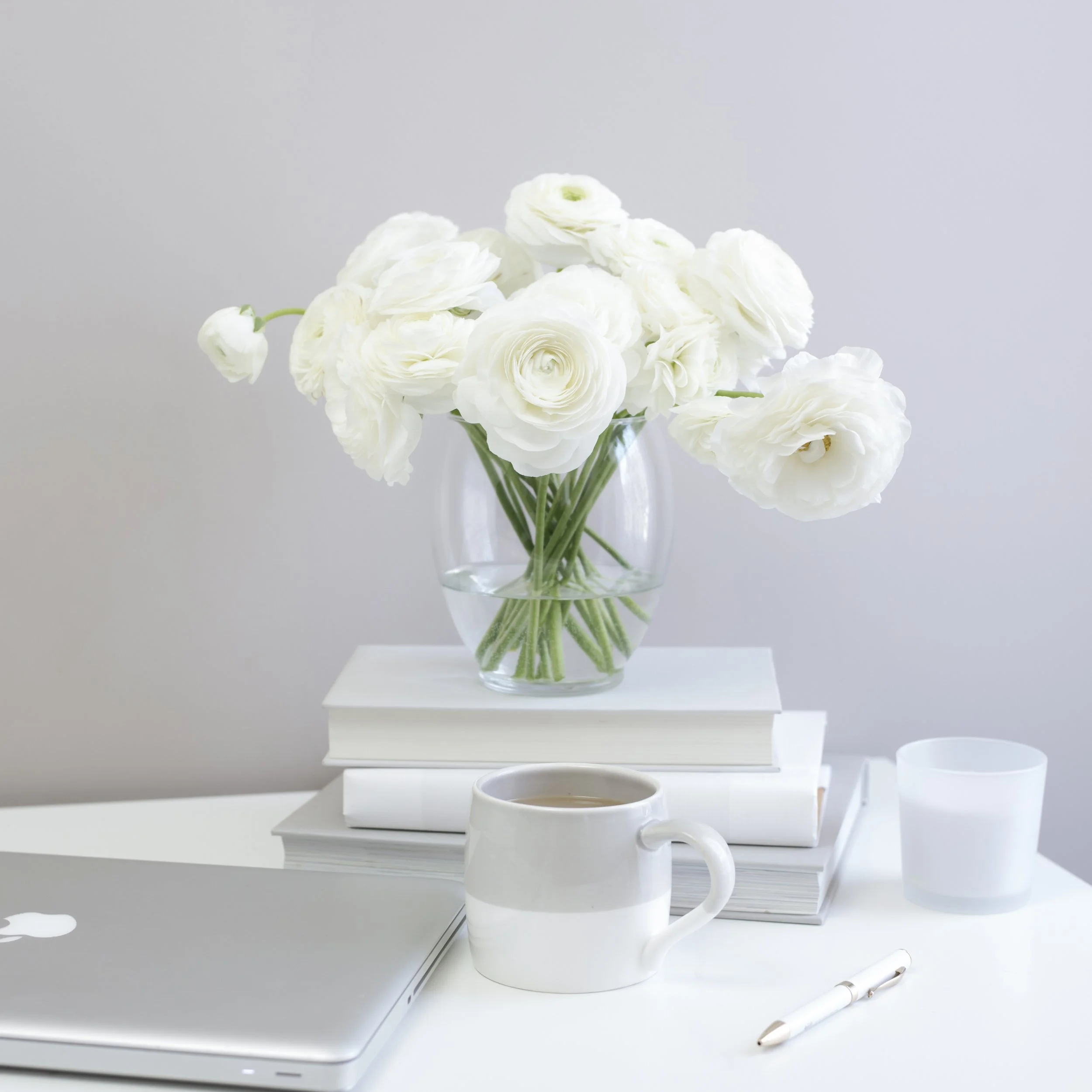 Wealthology Insider Mail #17