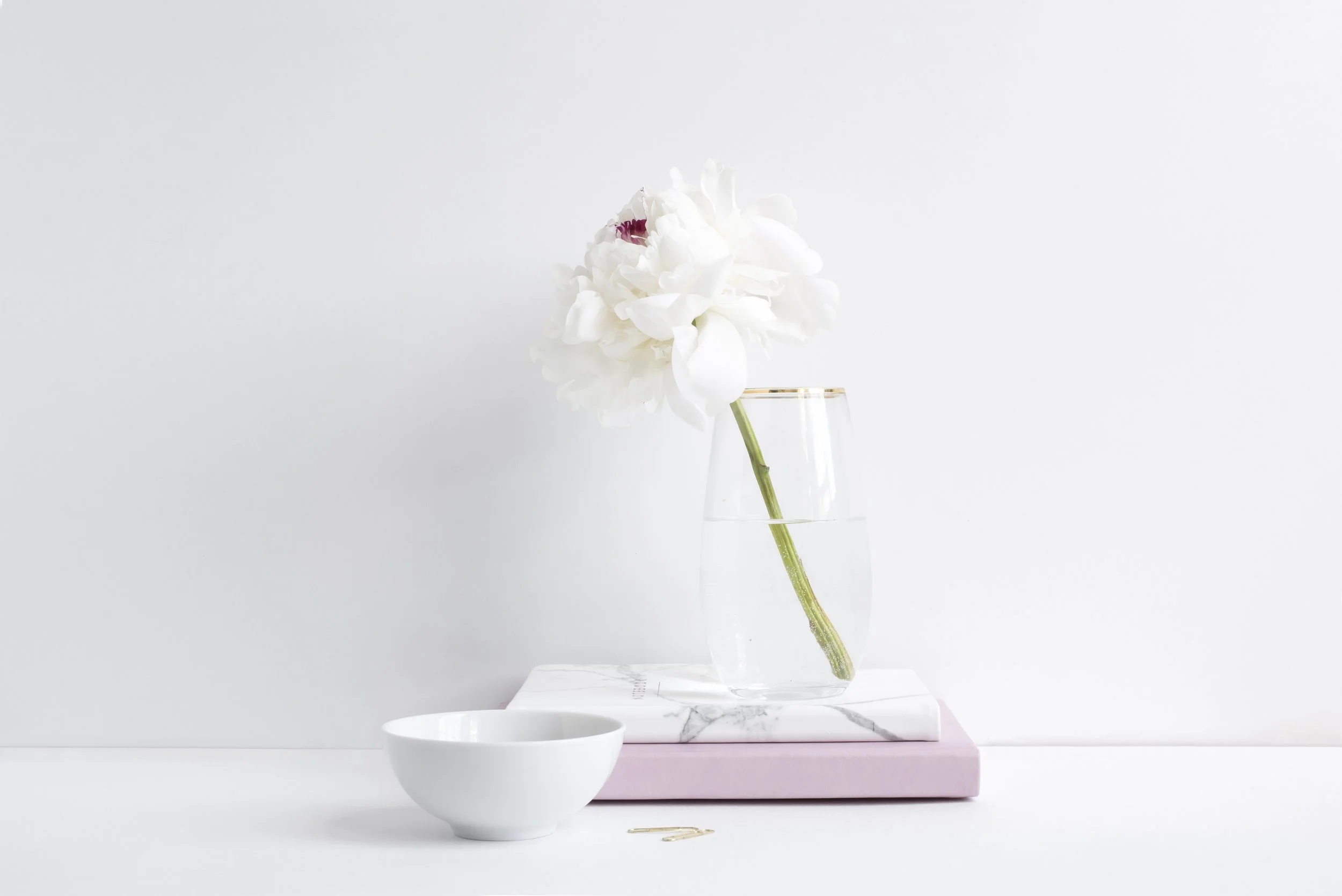 Wealthology Insider Mail #18